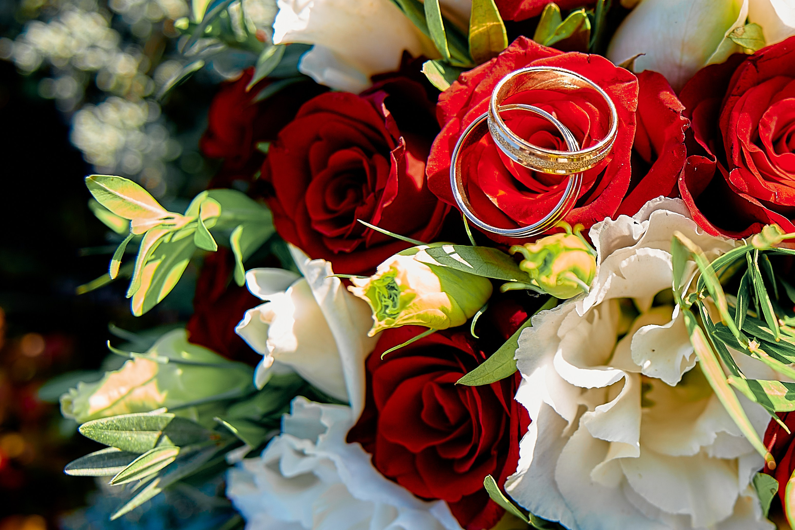 Свадебная фотография. Москва. Краснодар. Петр Ступень. Свадебное, семейное фото и видео. Москва. Краснодар