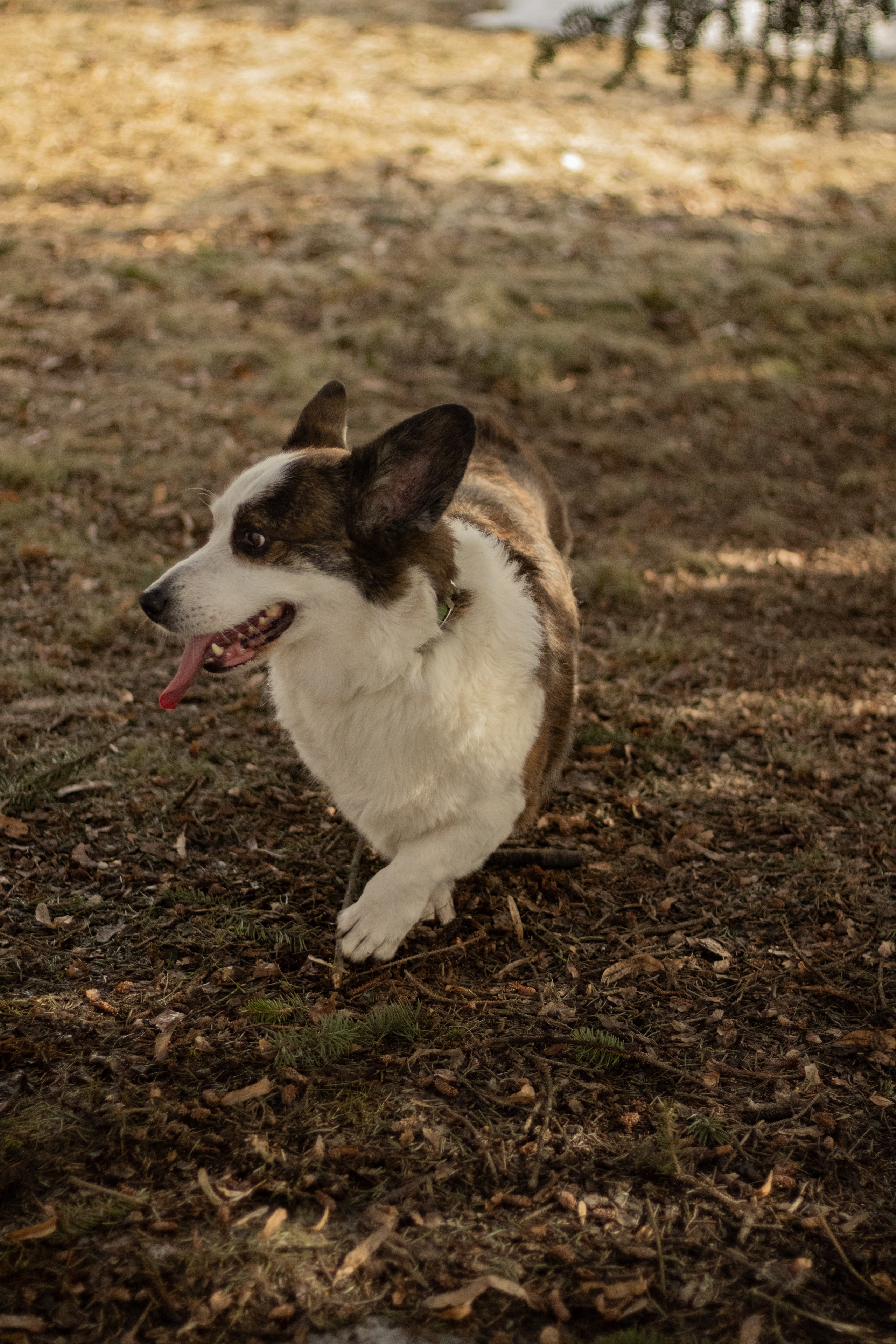 Юлия и Тэя. Катя Попова|ЛайфСтайл фотограф