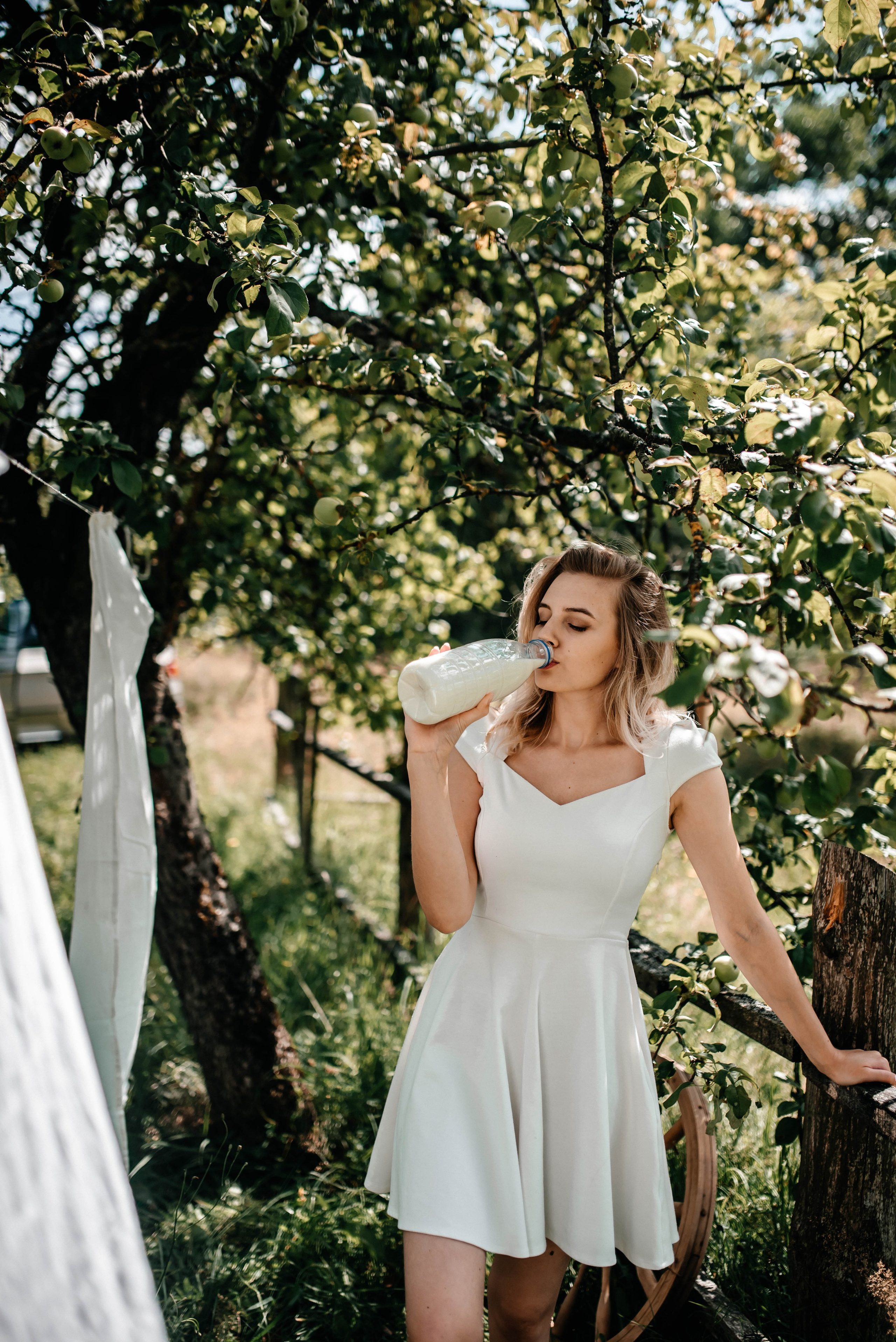 Диона, лето. Главная