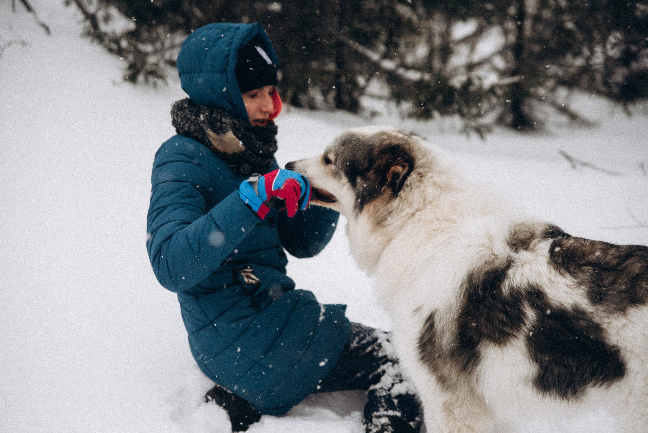 Териберка, Мурманск, Россия 🇷🇺. Anita_photo