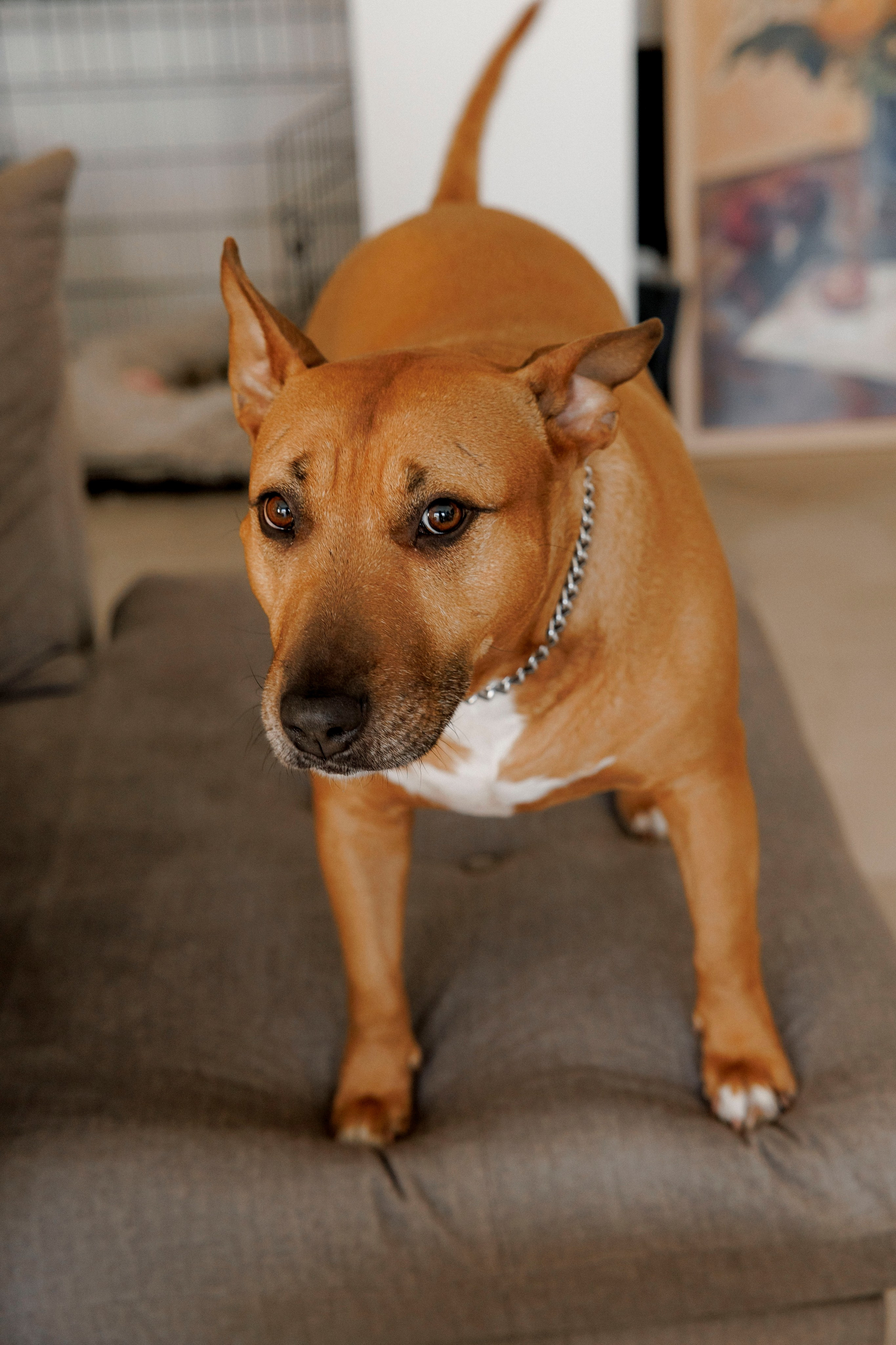 Pregnancy photoshoot (home/park/beach). Главная