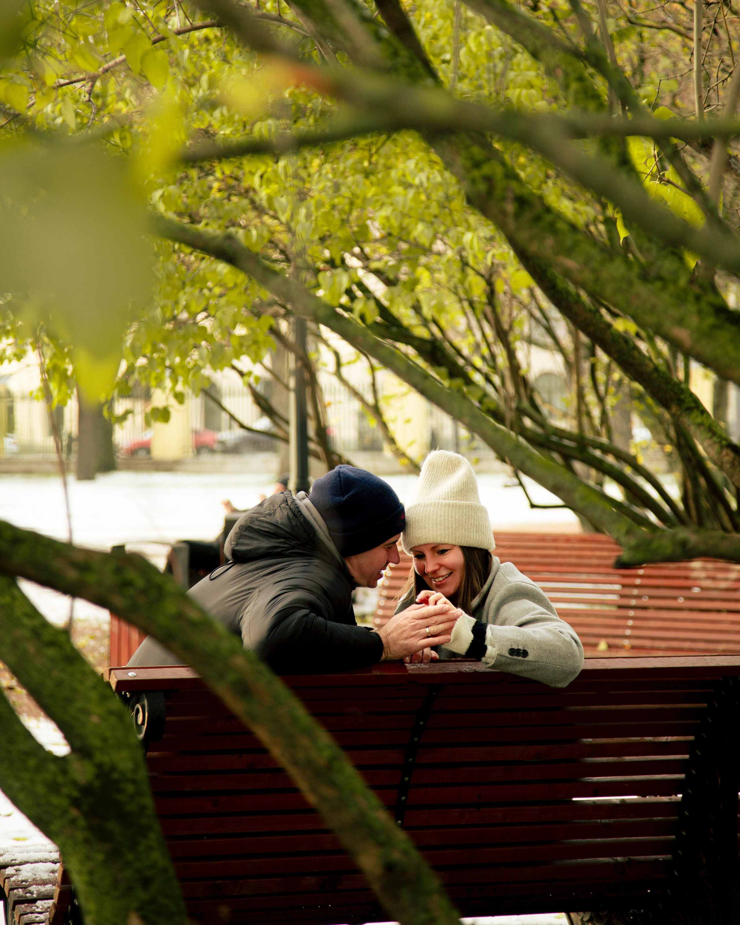 Ноябрьская пора