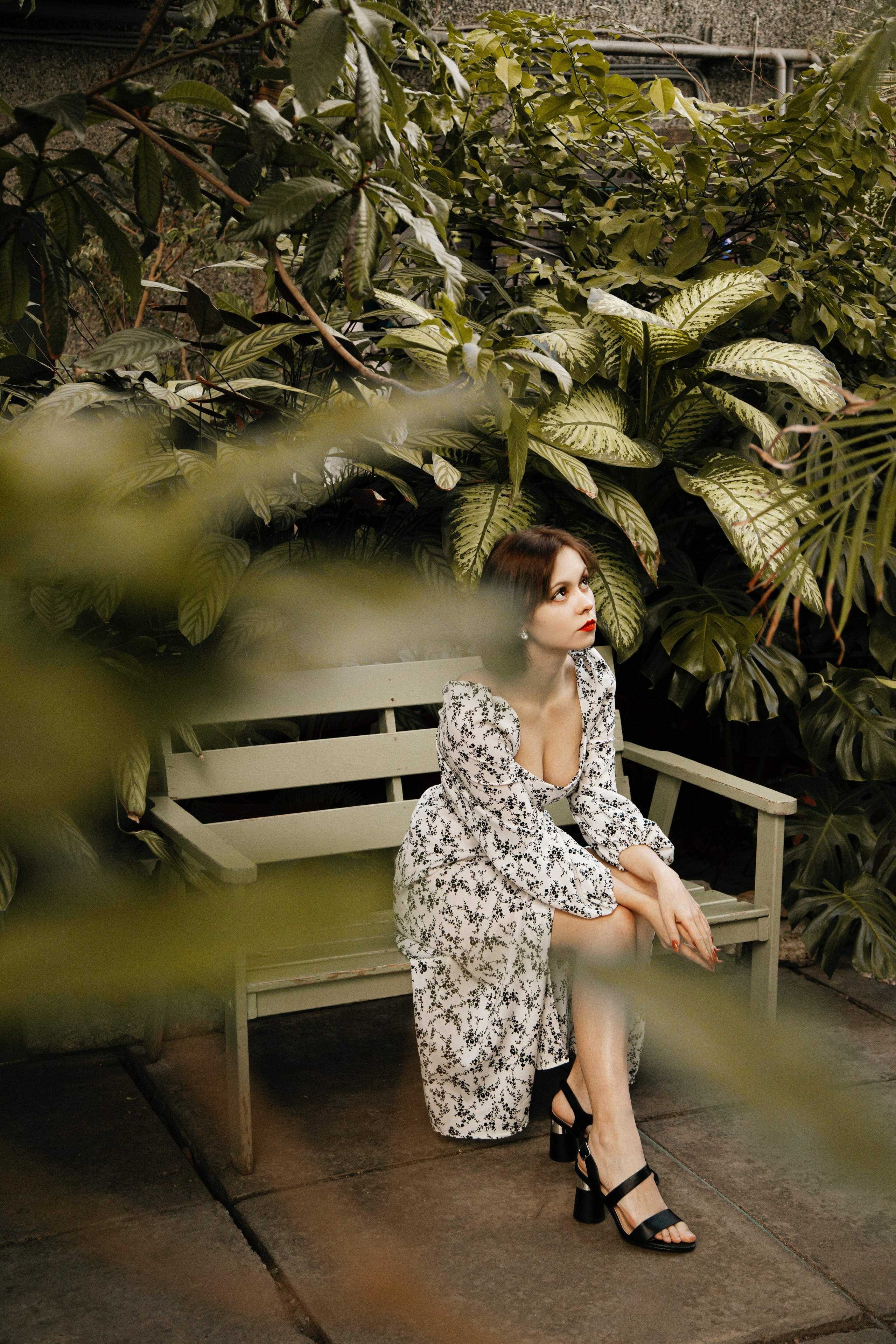 Оранжерея Таврического сада