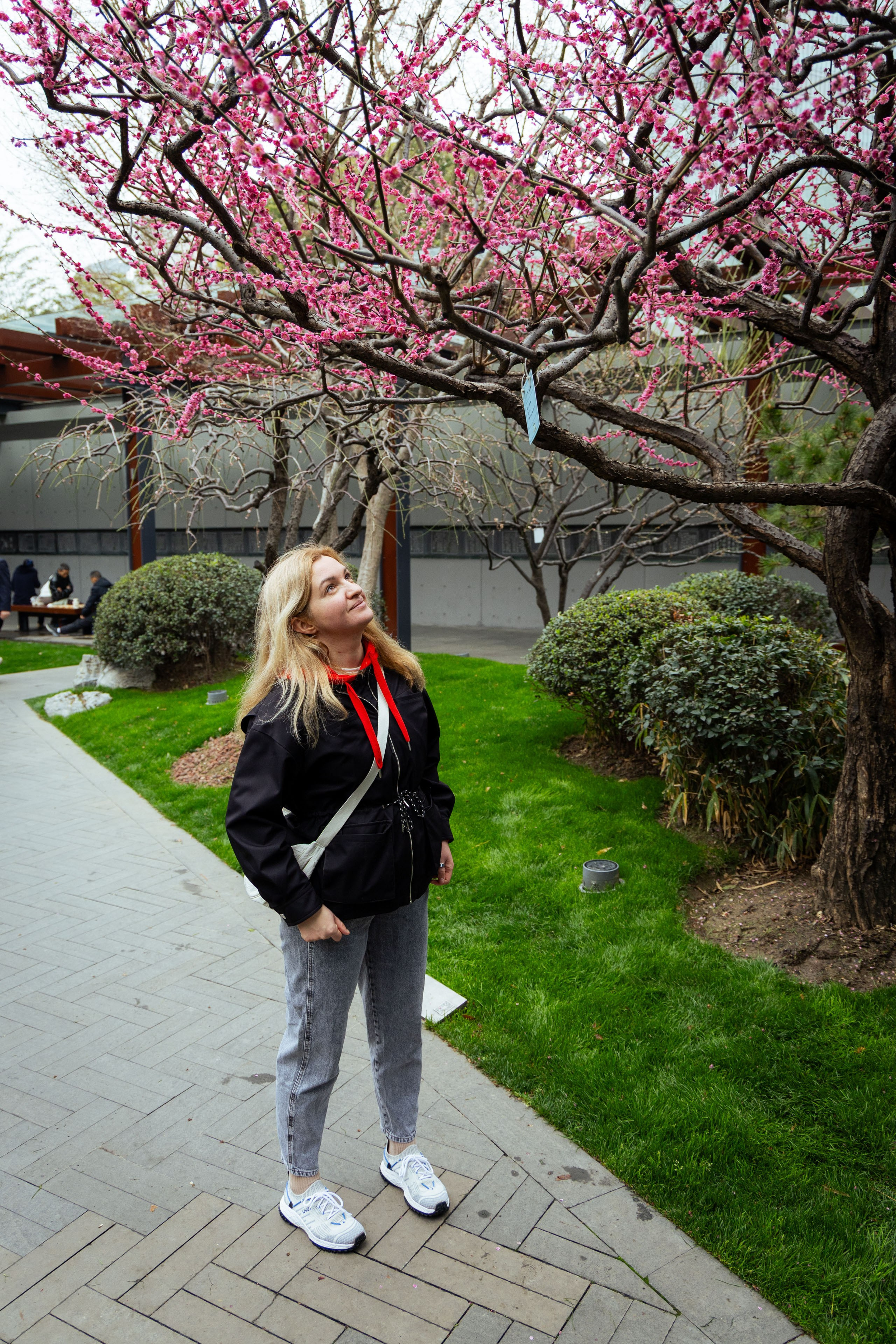 Шанхай (март 2026). Фотограф Виноградов Константин