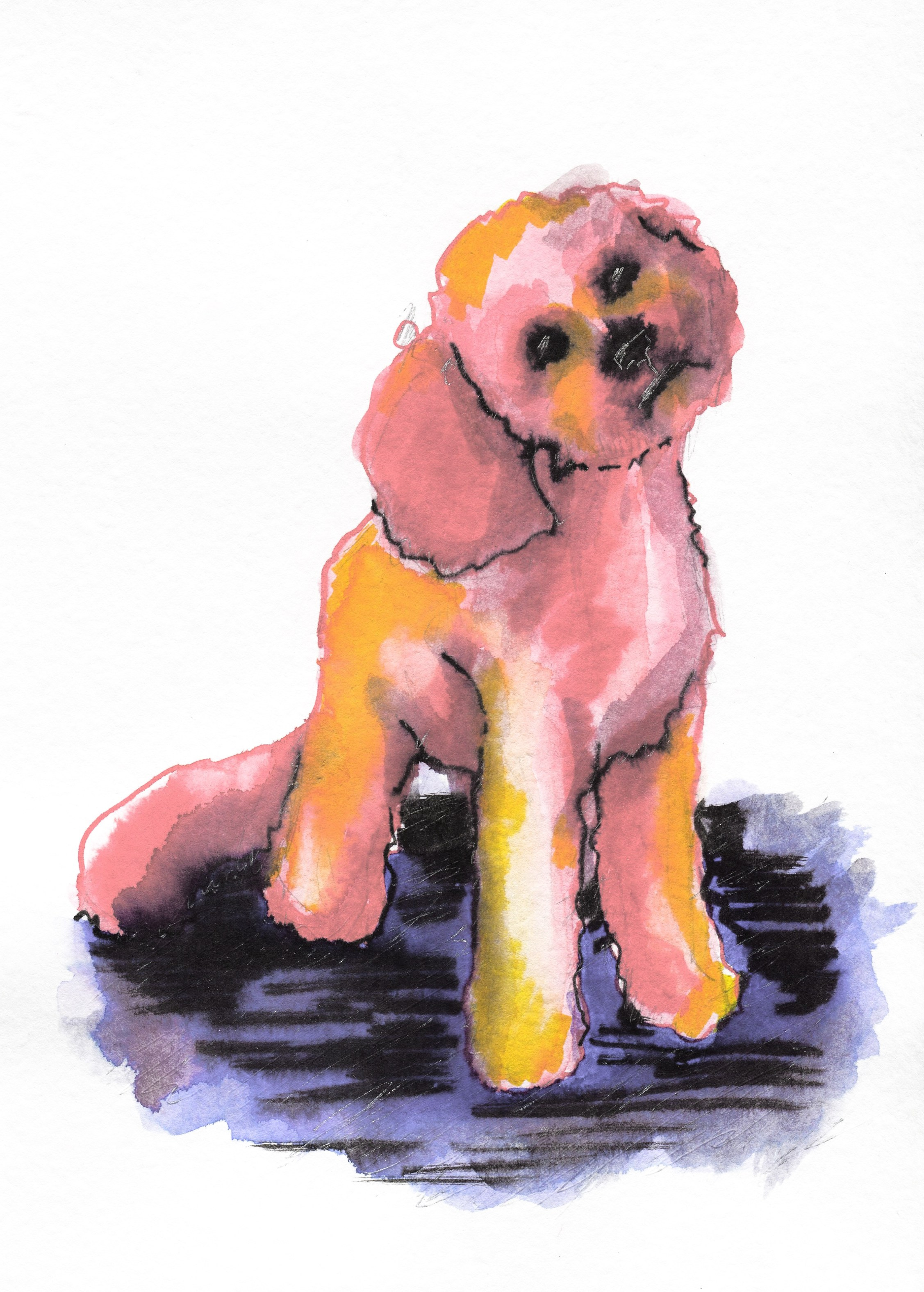 Животные. Художник, иллюстратор и комиксист Азизова Елена