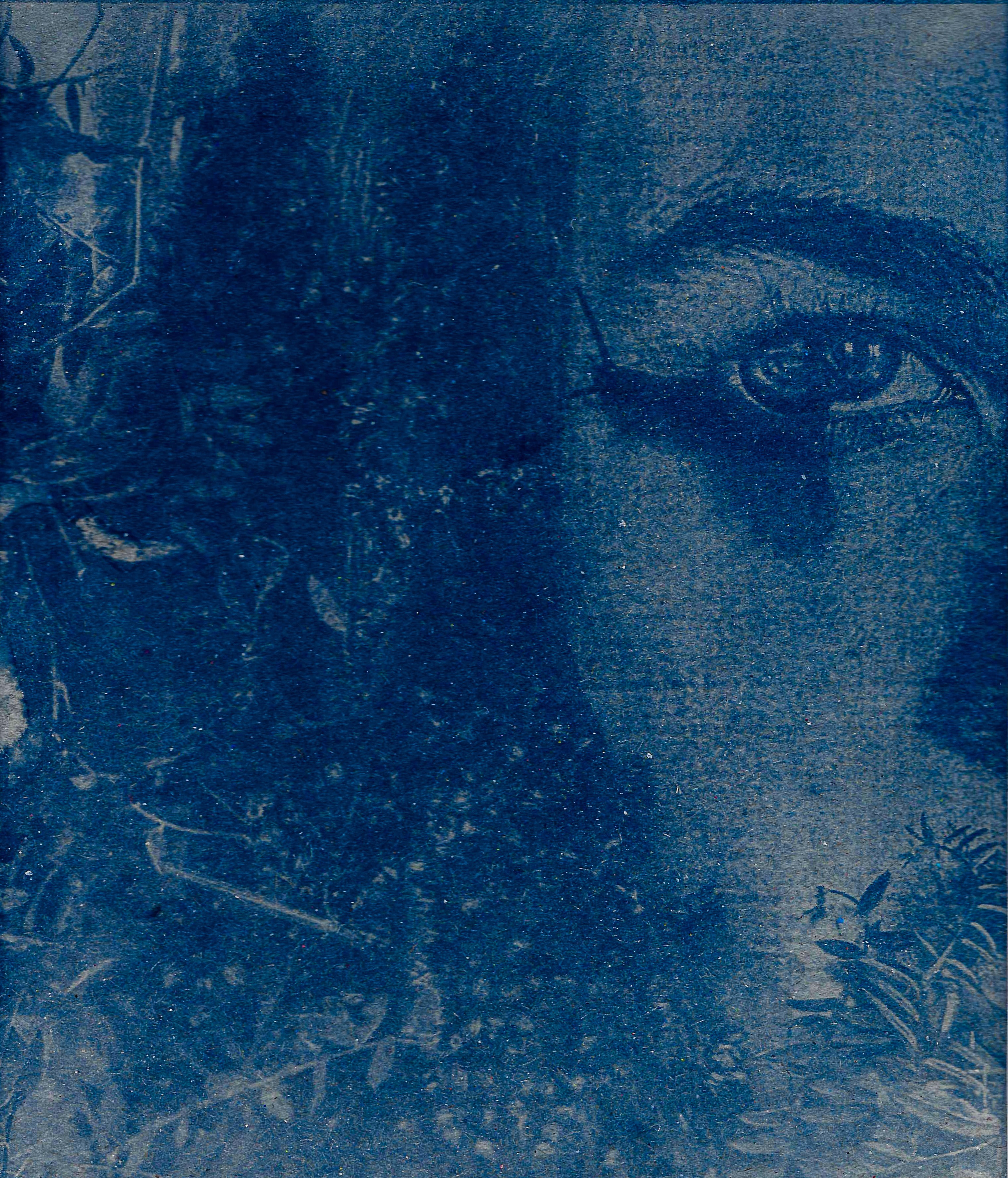 Укрытие. Катерина Эделева