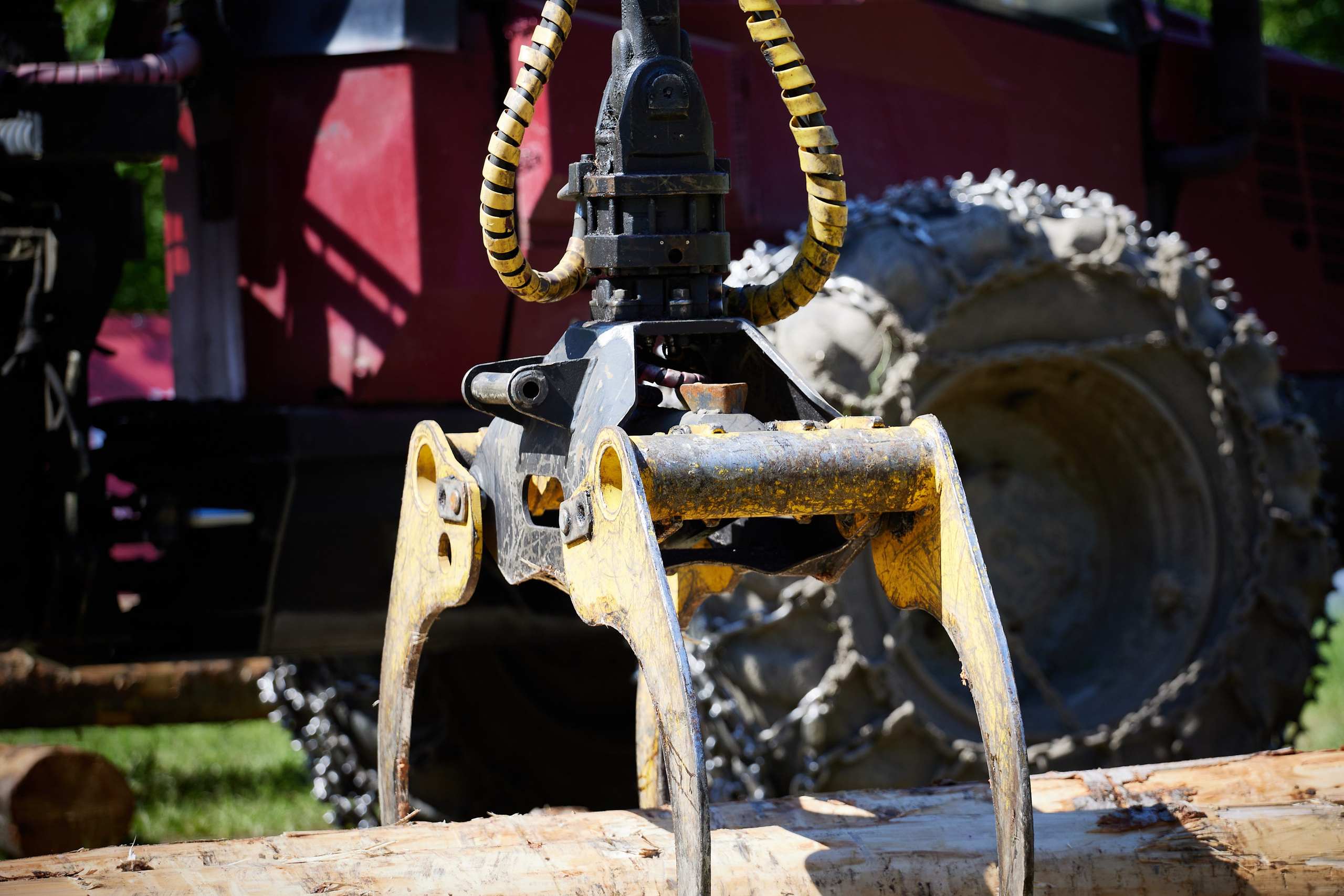 Всероссийские соревнования СИБИРСКИЙ ЛЕСОРУБ 2025. Фотограф Москва Concerts photo / Fashion photо