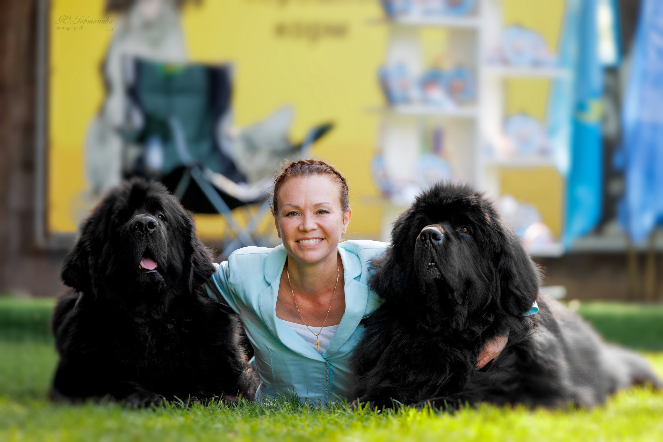 Бишкек 3х CACIB 26-28.09.2025. Фотограф-анималист Юлия Германика