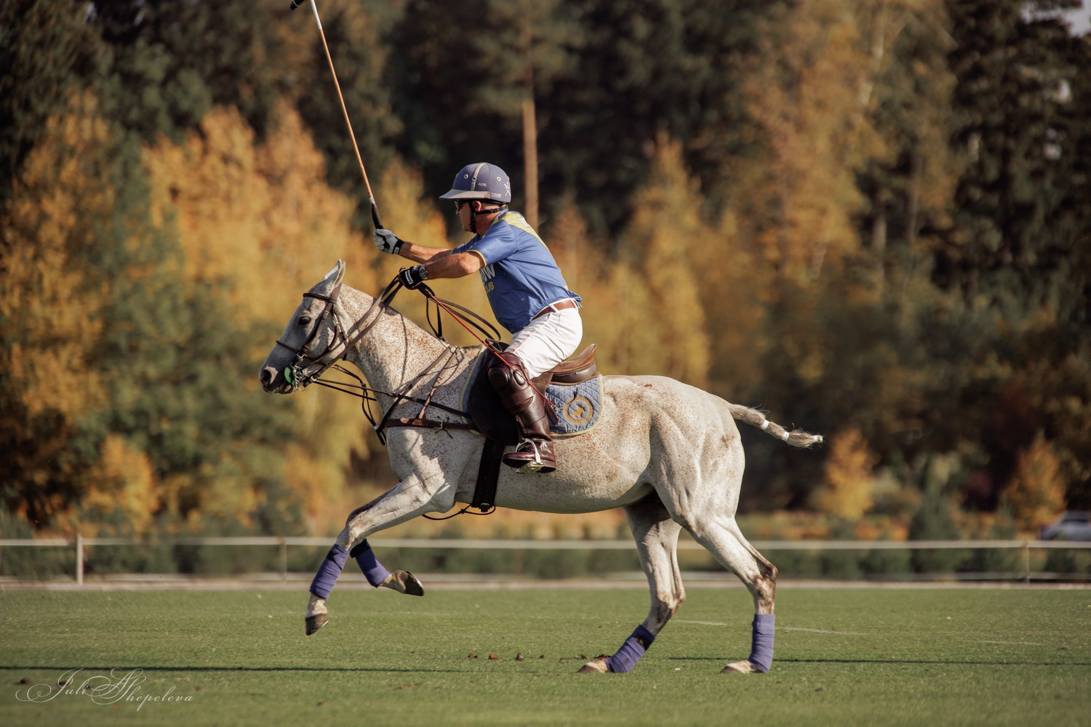 Осенний кубок по конному поло. Детская Конная фотография в Москве Юлия Шепелева