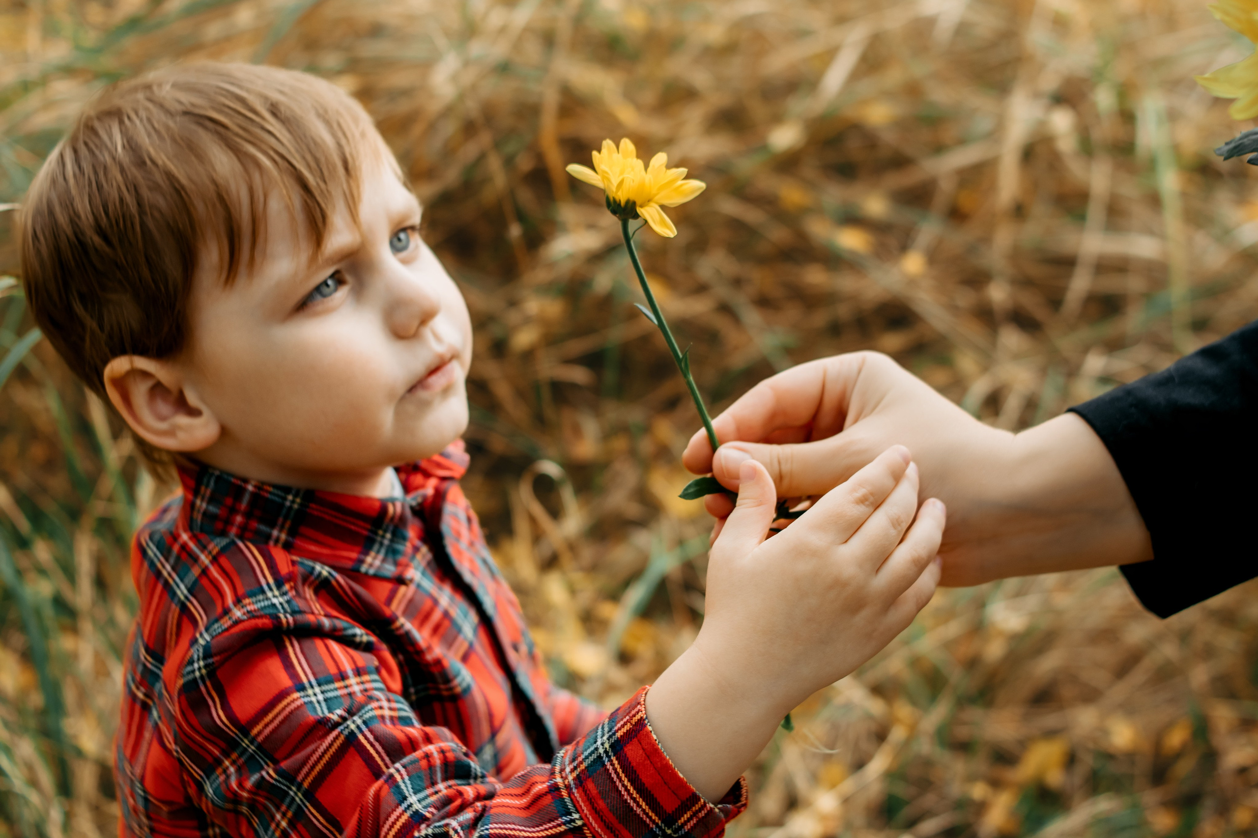 Семейная осенняя фотосессия на природе. Свадебный и семейный фотограф в Краснодарском крае Мария Данилкина