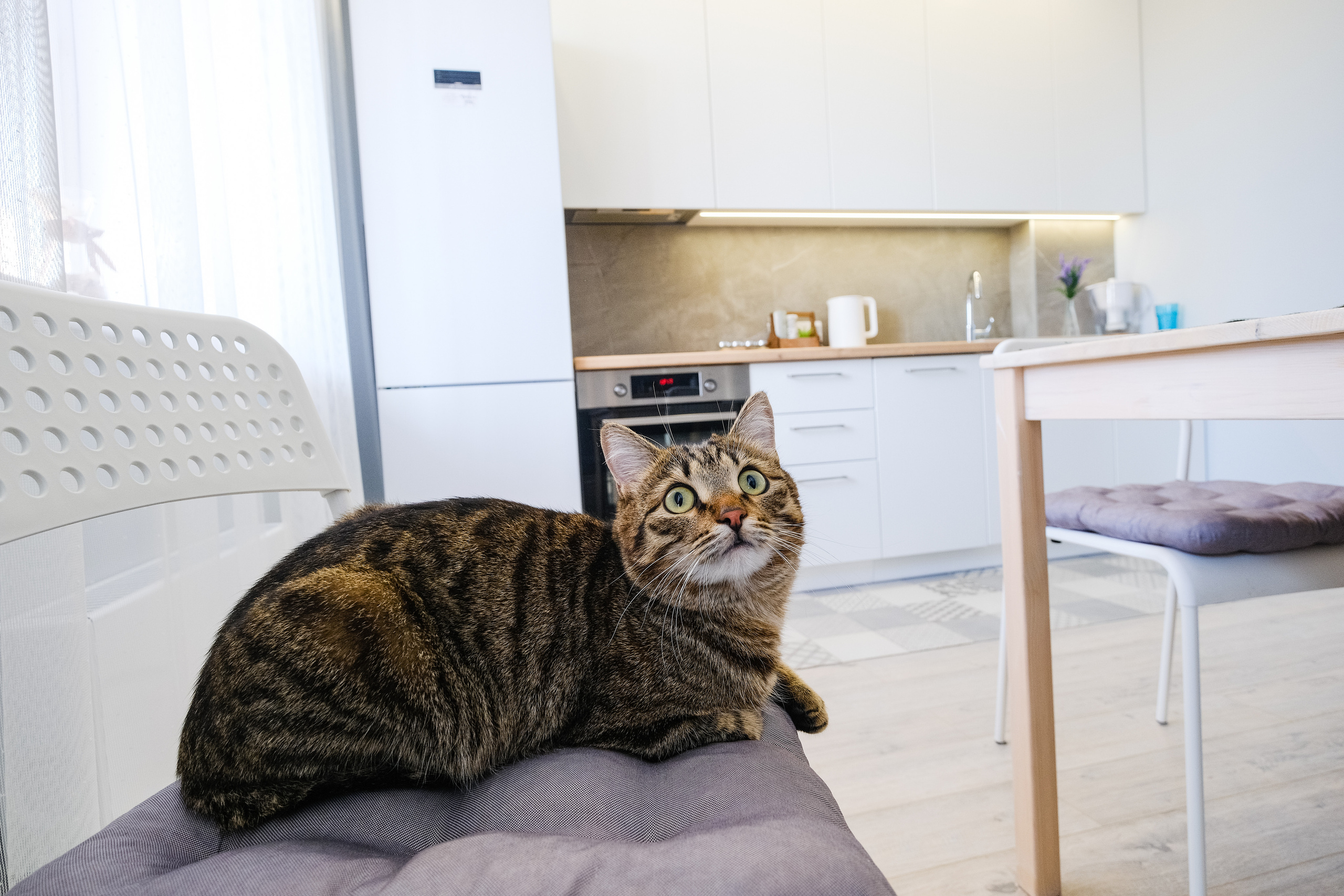 Кухня на заказ в Томске Северный Парк Мебель Кухни Шкафы заказать. ГУДРУМ — Мебель на заказ в Томске | Кухни | Шкафы | Стулья и Столы