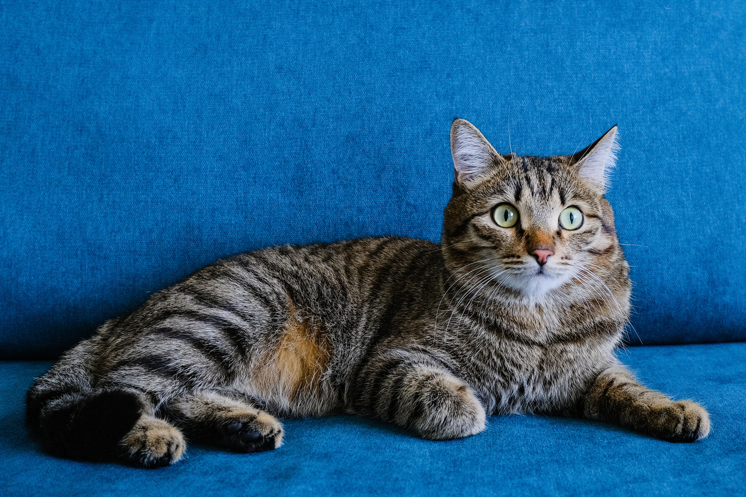 Кухня на заказ в Томске Северный Парк Мебель Кухни Шкафы заказать. ГУДРУМ — Мебель на заказ в Томске | Кухни | Шкафы | Стулья и Столы