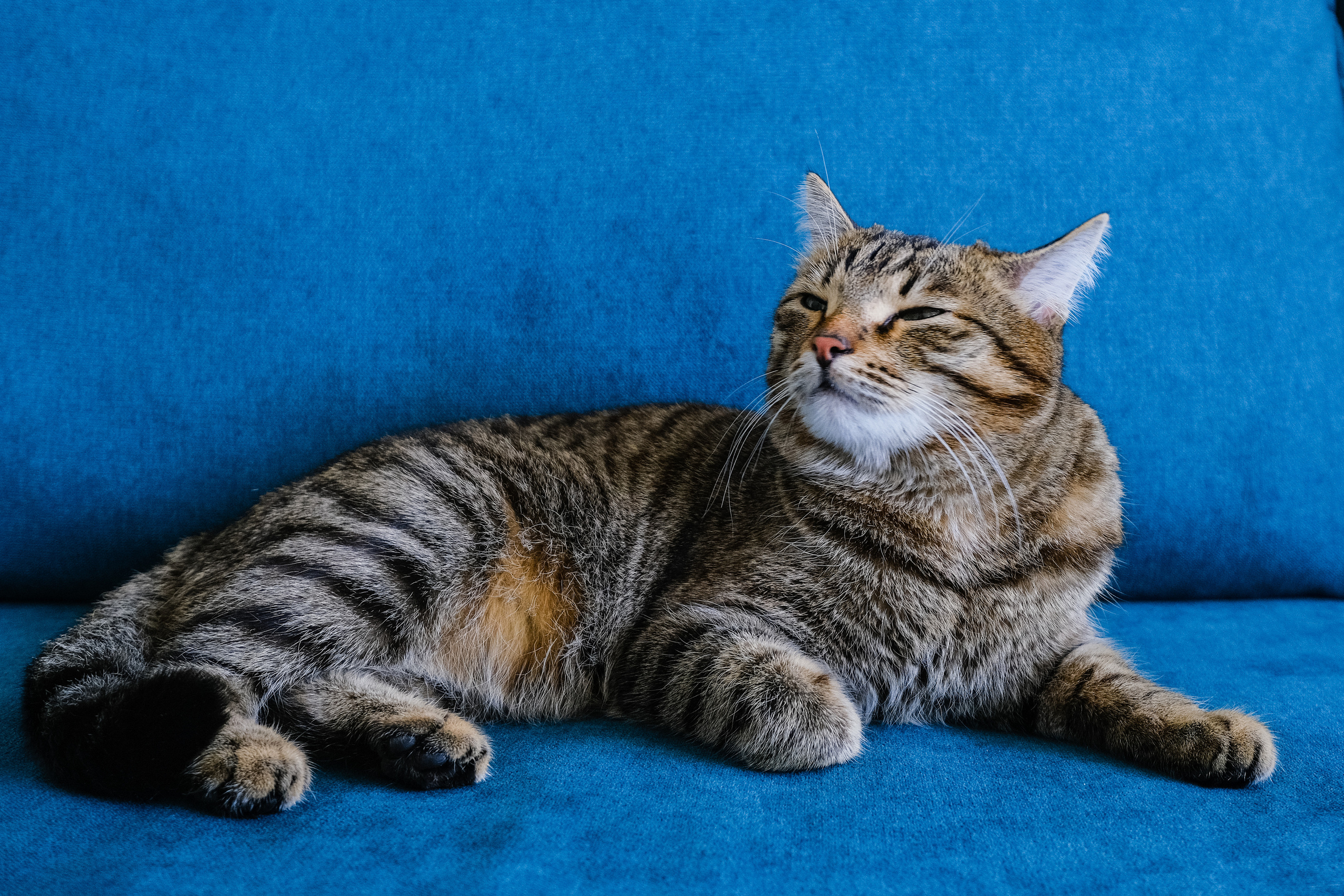 Кухня на заказ в Томске Северный Парк Мебель Кухни Шкафы заказать. ГУДРУМ — Мебель на заказ в Томске | Кухни | Шкафы | Стулья и Столы