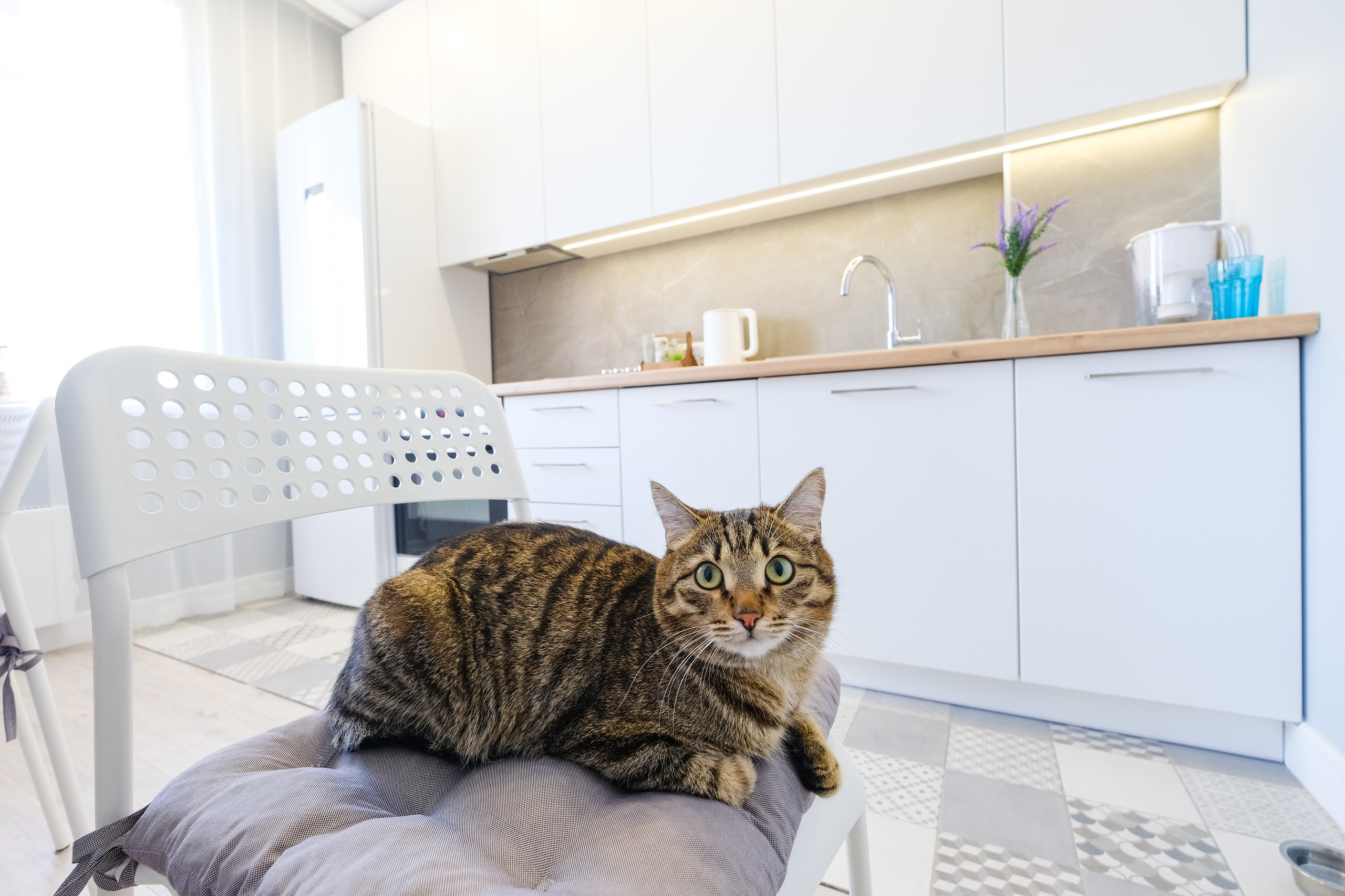 Кухня на заказ в Томске Северный Парк Мебель Кухни Шкафы заказать. ГУДРУМ — Мебель на заказ в Томске | Кухни | Шкафы | Стулья и Столы