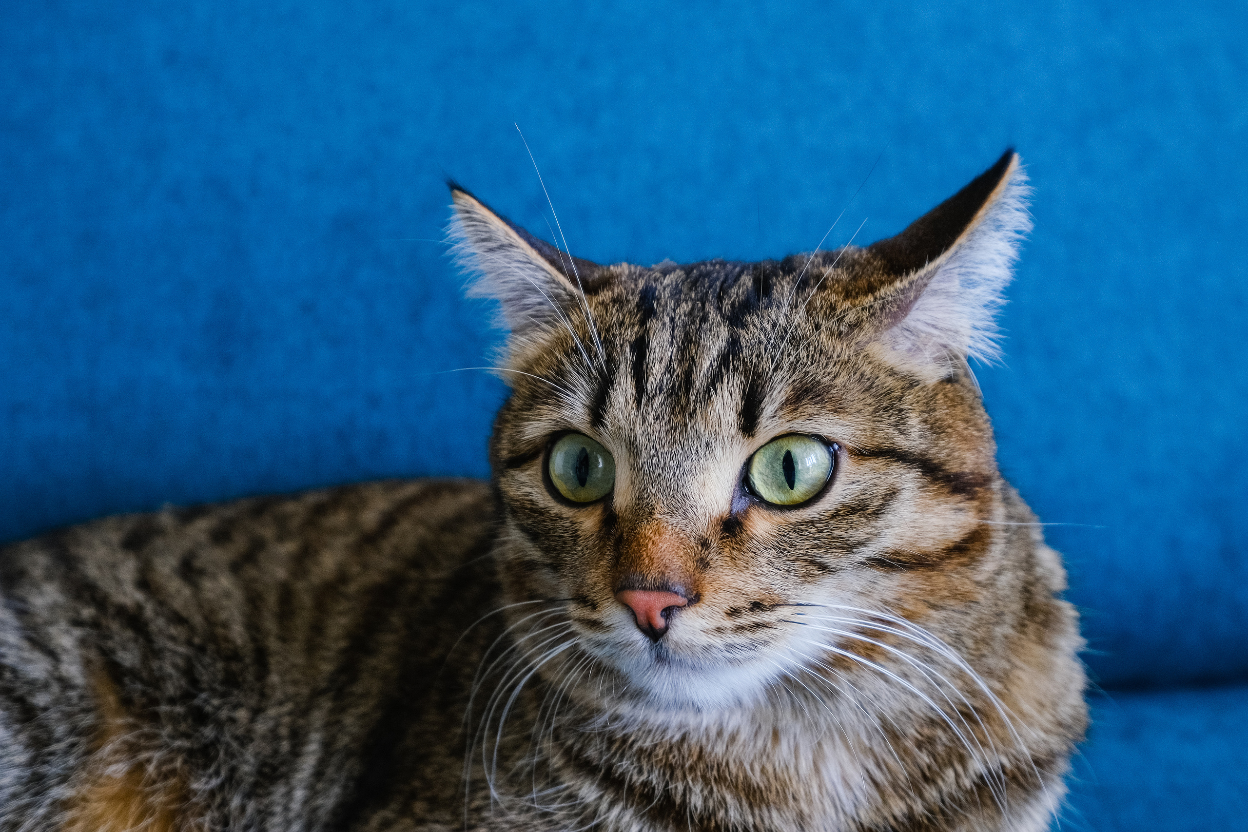 Кухня на заказ в Томске Северный Парк Мебель Кухни Шкафы заказать. ГУДРУМ — Мебель на заказ в Томске | Кухни | Шкафы | Стулья и Столы