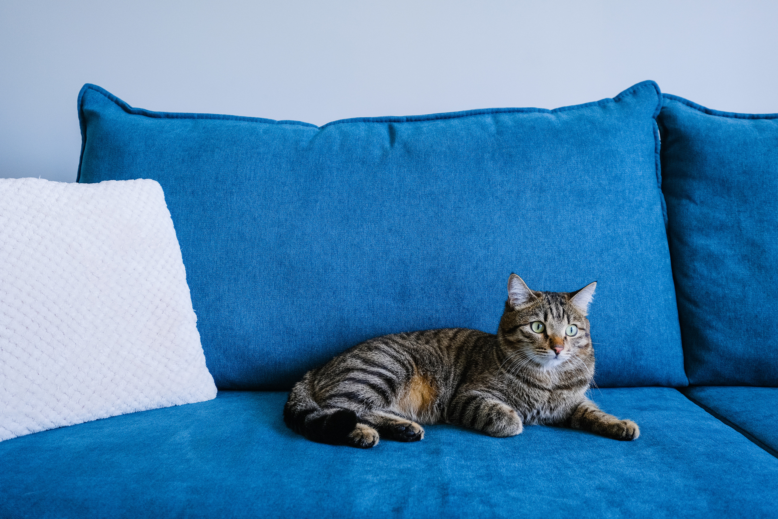 Кухня на заказ в Томске Северный Парк Мебель Кухни Шкафы заказать. ГУДРУМ — Мебель на заказ в Томске | Кухни | Шкафы | Стулья и Столы