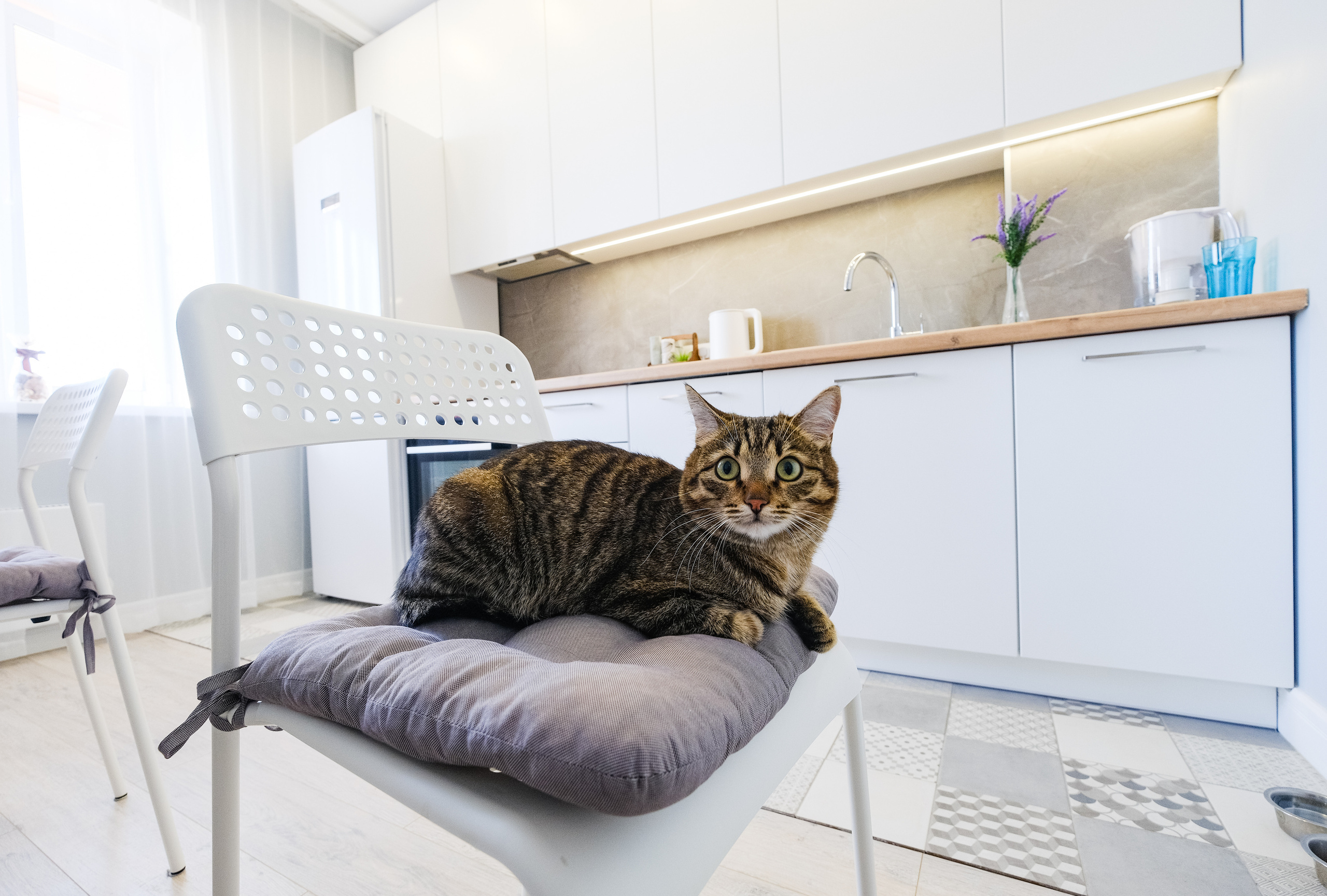 Кухня на заказ в Томске Северный Парк Мебель Кухни Шкафы заказать. ГУДРУМ — Мебель на заказ в Томске | Кухни | Шкафы | Стулья и Столы