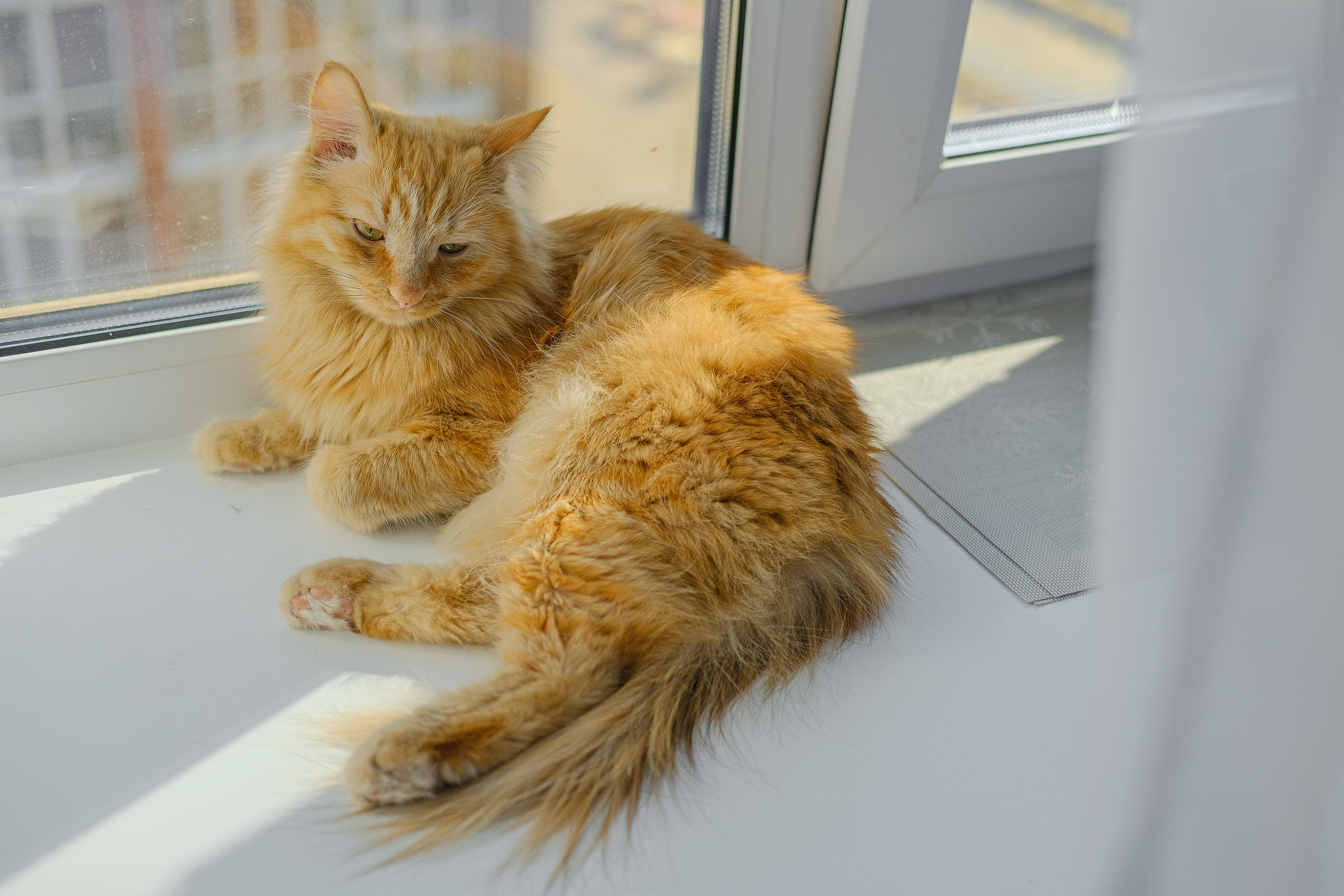 Кухня на заказ в Томске ЖК Северный Парк| Мебель Кухни Шкафы заказать. ГУДРУМ — Мебель на заказ в Томске | Кухни | Шкафы | Стулья и Столы