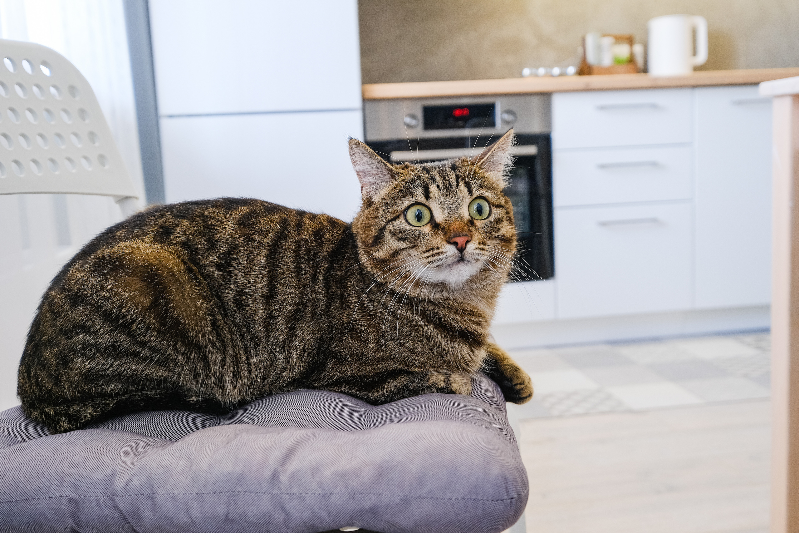 Кухня на заказ в Томске Северный Парк Мебель Кухни Шкафы заказать. ГУДРУМ — Мебель на заказ в Томске | Кухни | Шкафы | Стулья и Столы