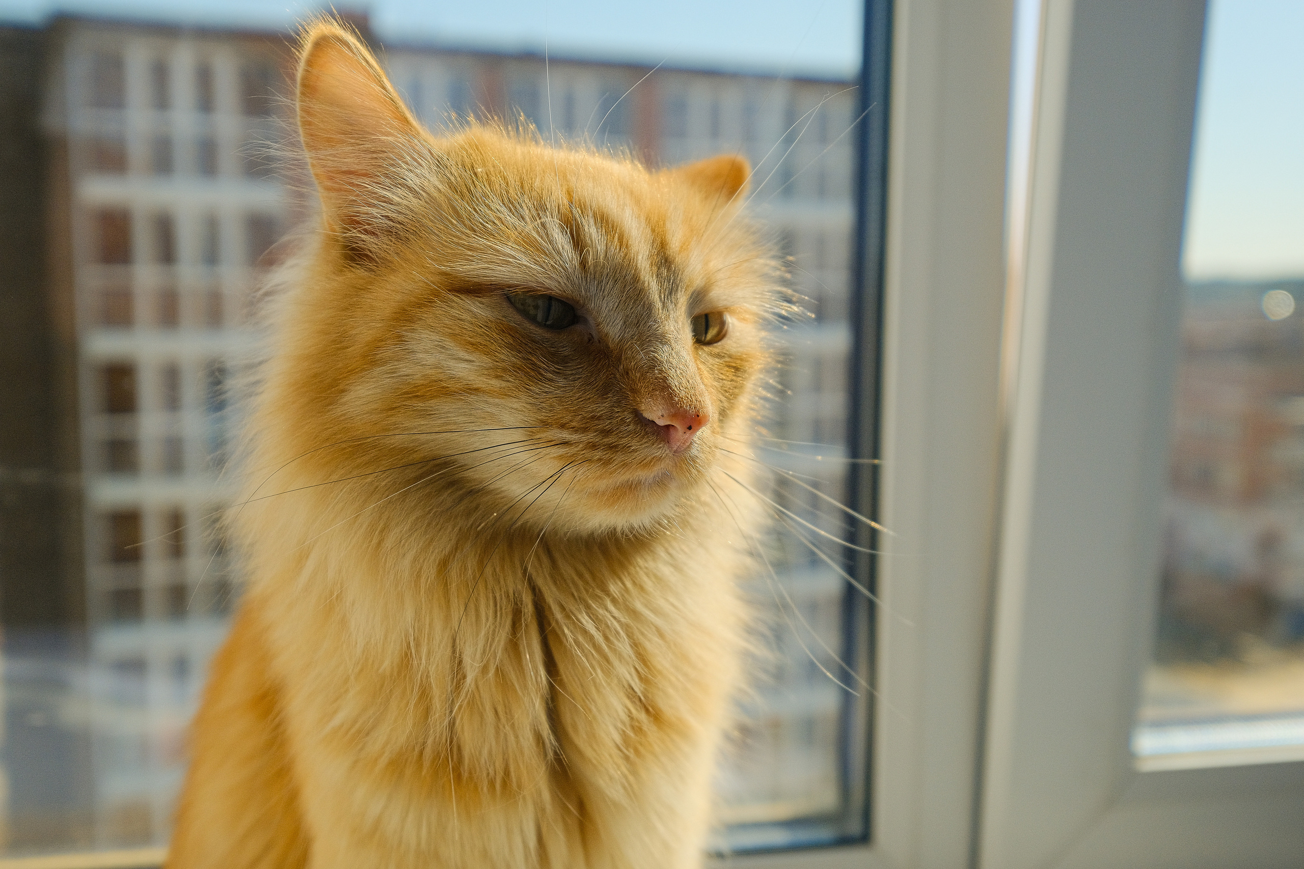 Кухня на заказ в Томске ЖК Северный Парк| Мебель Кухни Шкафы заказать. ГУДРУМ — Мебель на заказ в Томске | Кухни | Шкафы | Стулья и Столы