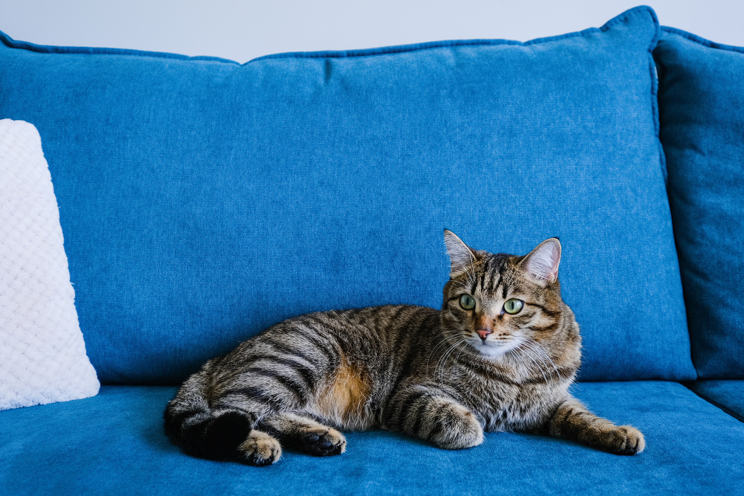 Кухня на заказ в Томске Северный Парк Мебель Кухни Шкафы заказать. ГУДРУМ — Мебель на заказ в Томске | Кухни | Шкафы | Стулья и Столы