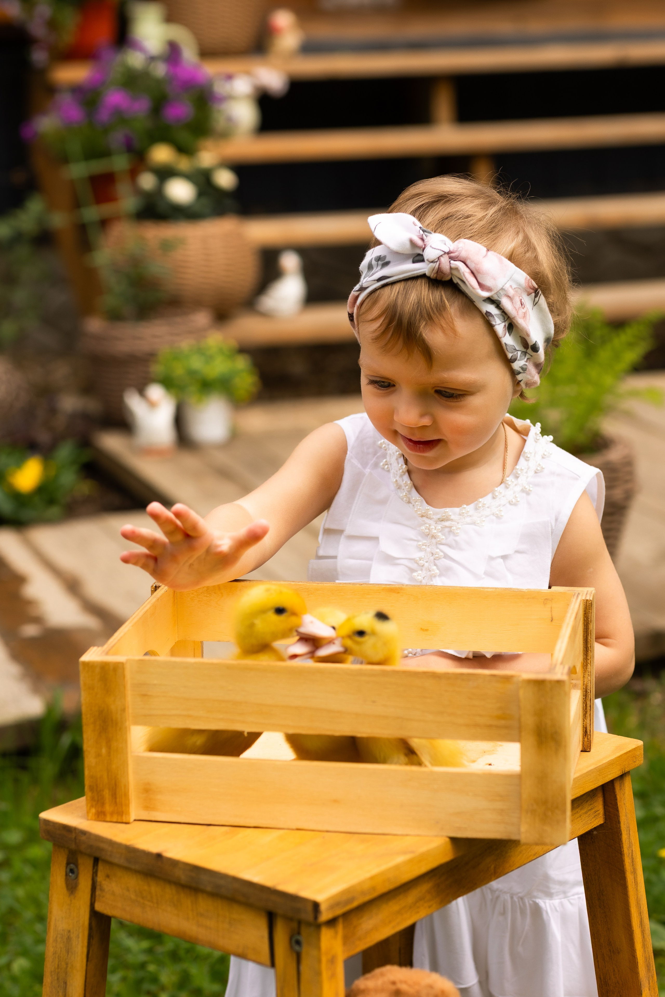 Утята. Профессиональный ретушер Москва и весь мир — Елена Тимченко