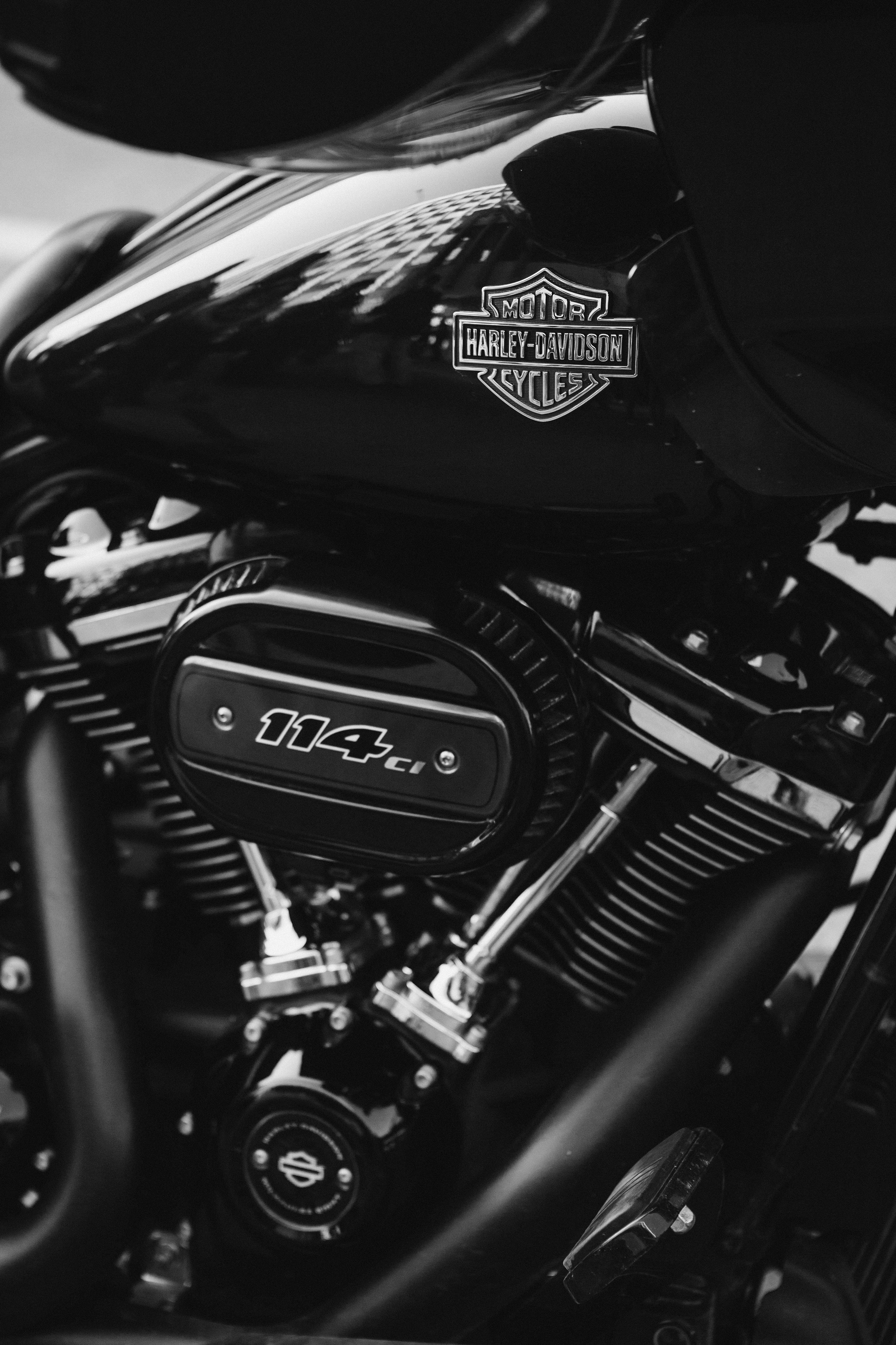 Мероприятия. ФОТО/ВИДЕО БЬОРН Студия г. Новороссийск