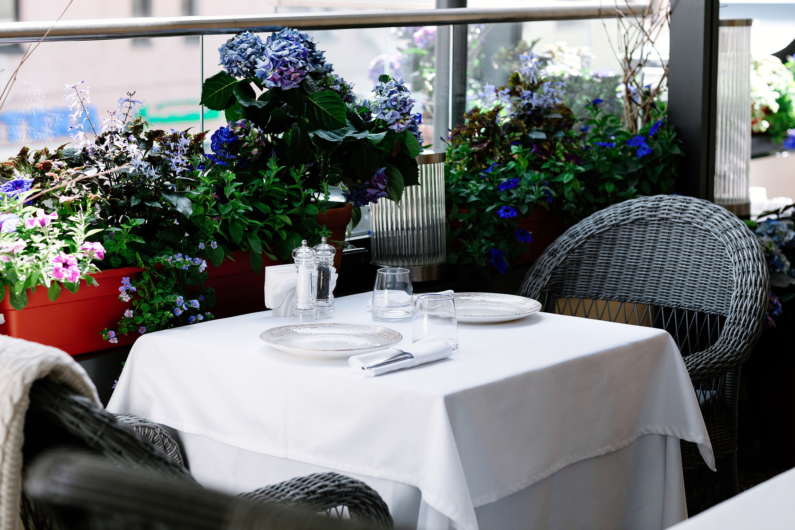 Caspian. Alena Nezalenova