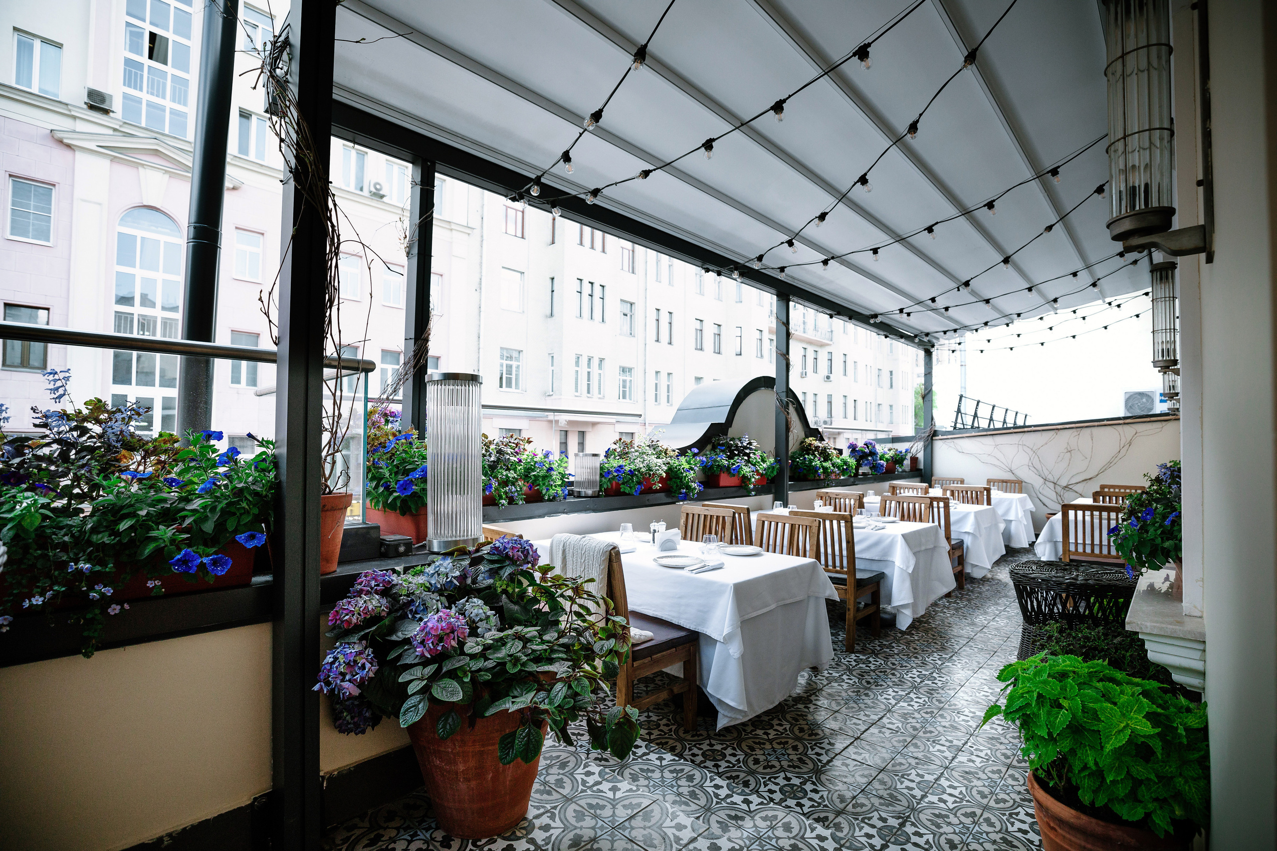 Caspian. Alena Nezalenova