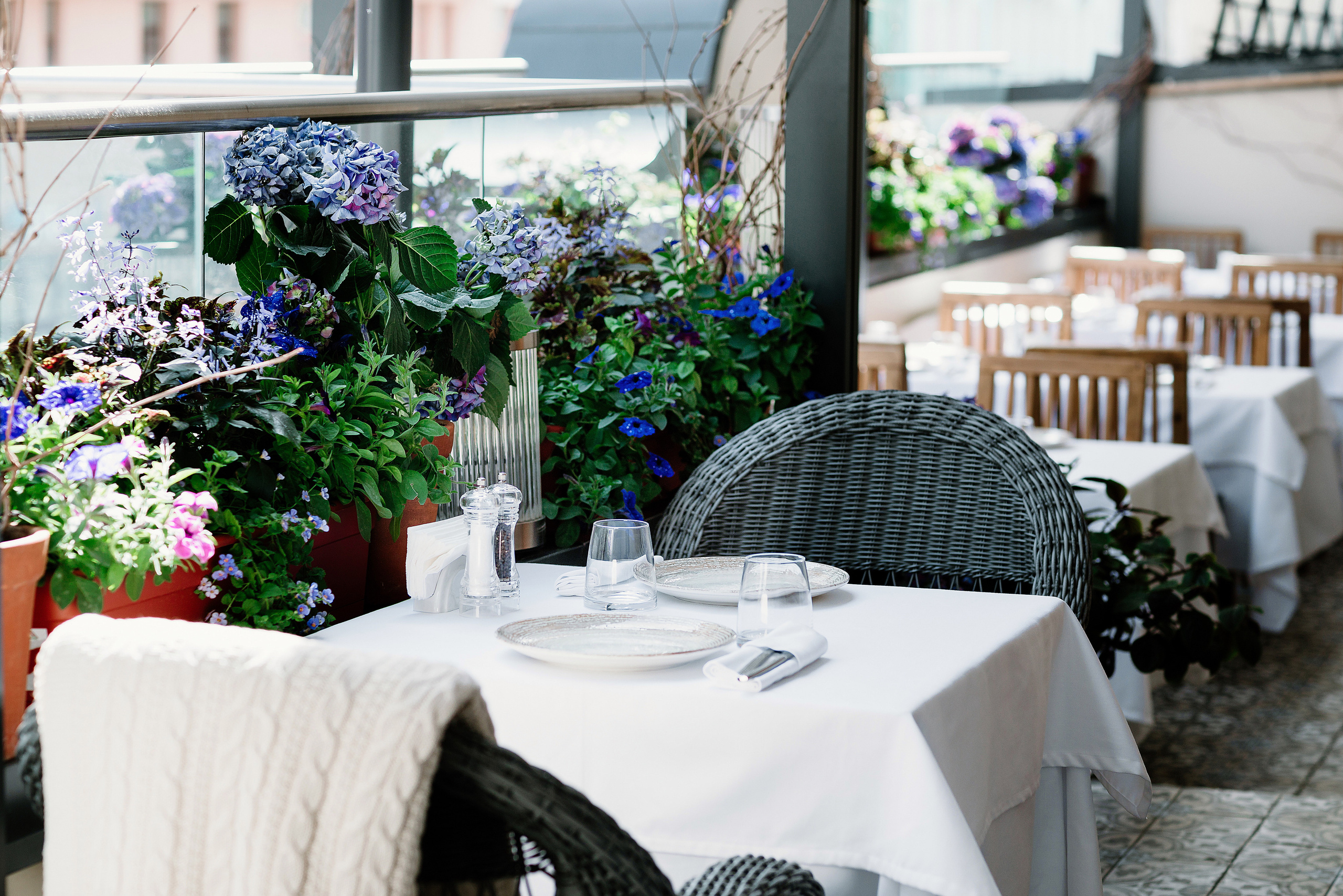 Caspian. Alena Nezalenova