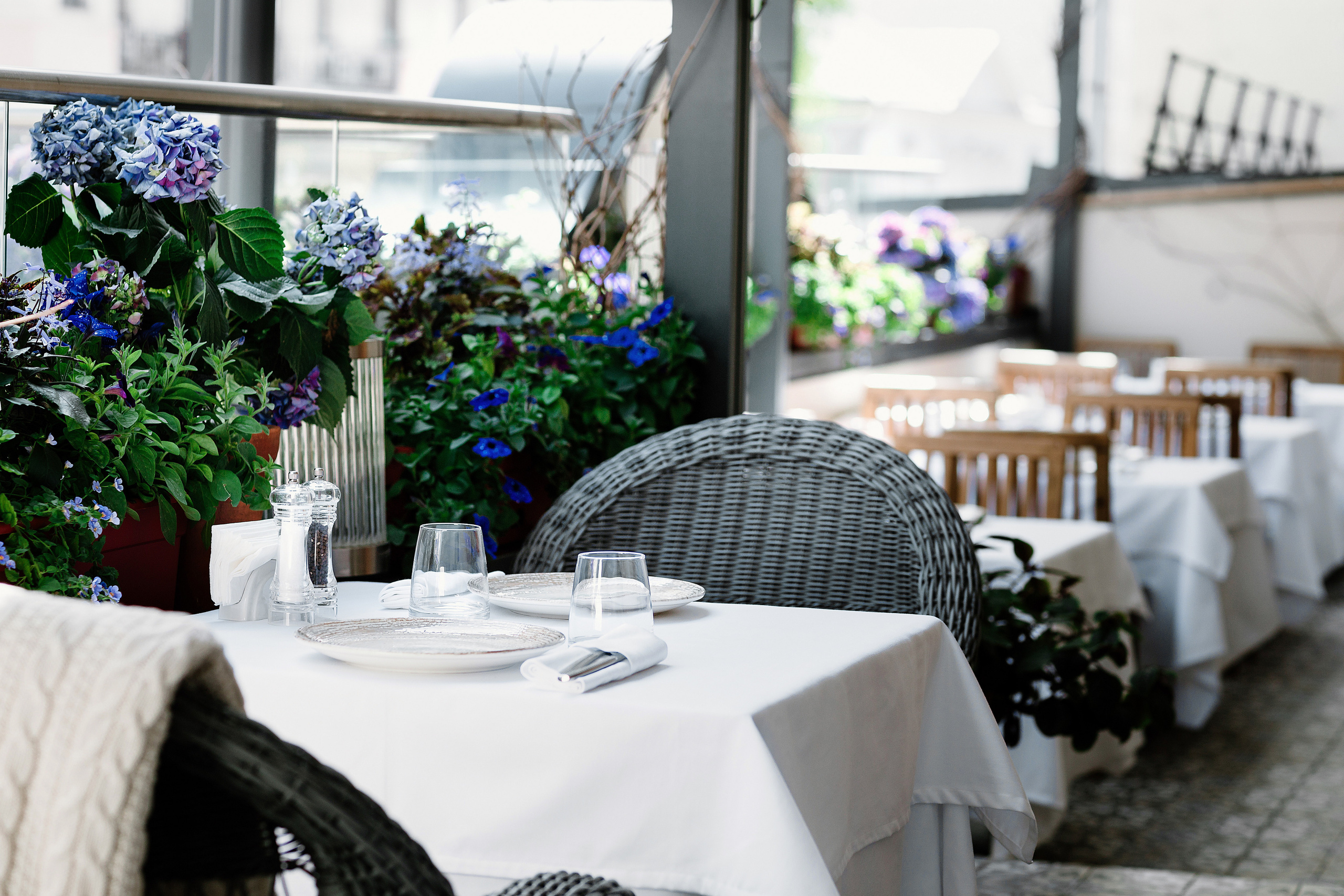 Caspian. Alena Nezalenova