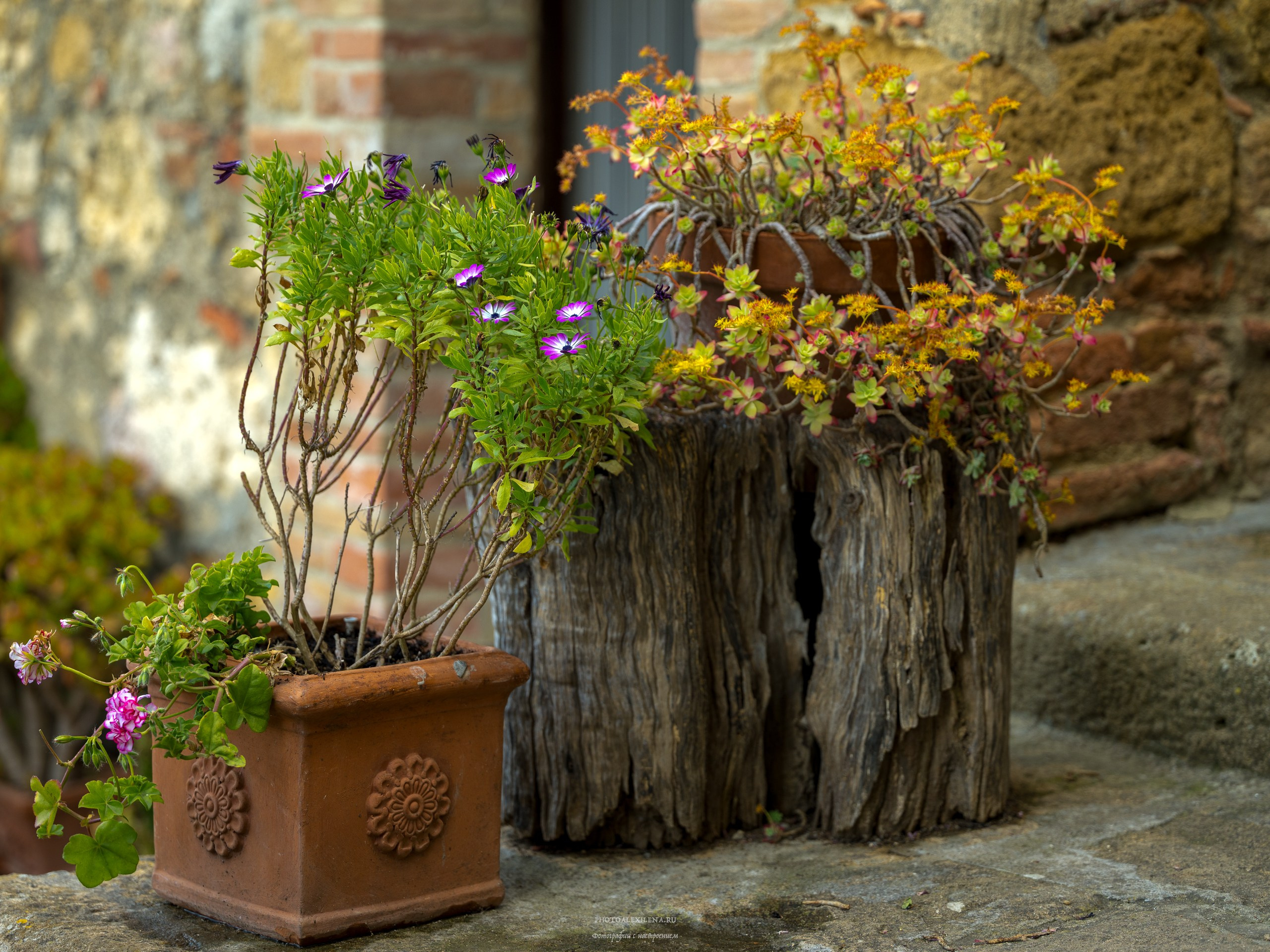 Пиенца и Ареццо. Авторские стильные фотокартины