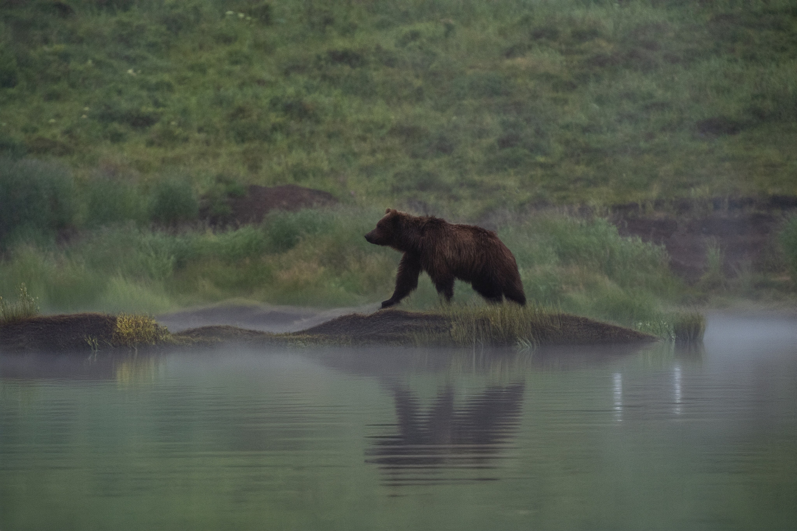 Камчатка. Фотограф в Санкт-Петербурге Вихтинский Николай