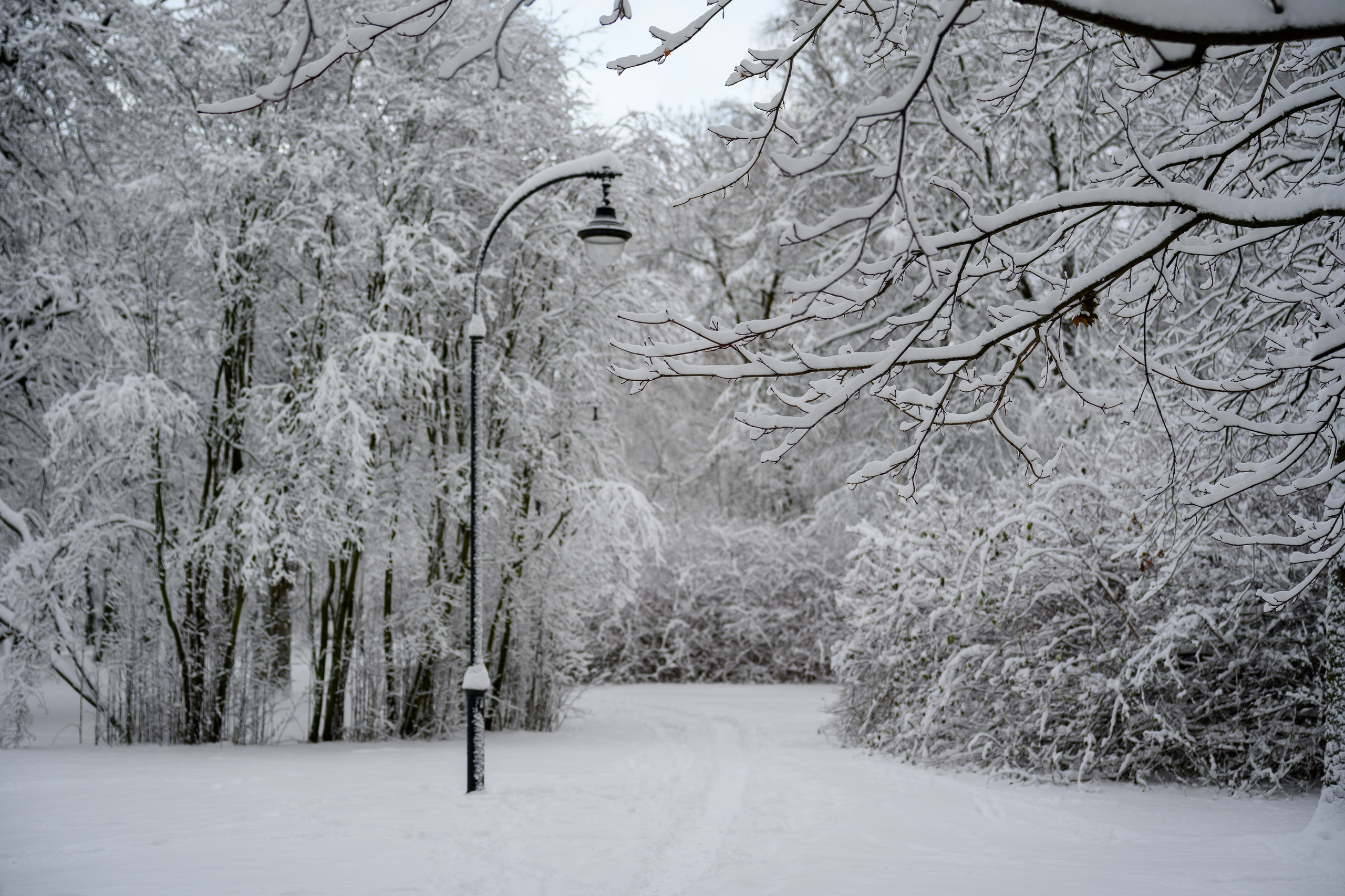 Landscape, nature, plants, details of the world around us. Personal website of photographer Dmitry Raikin