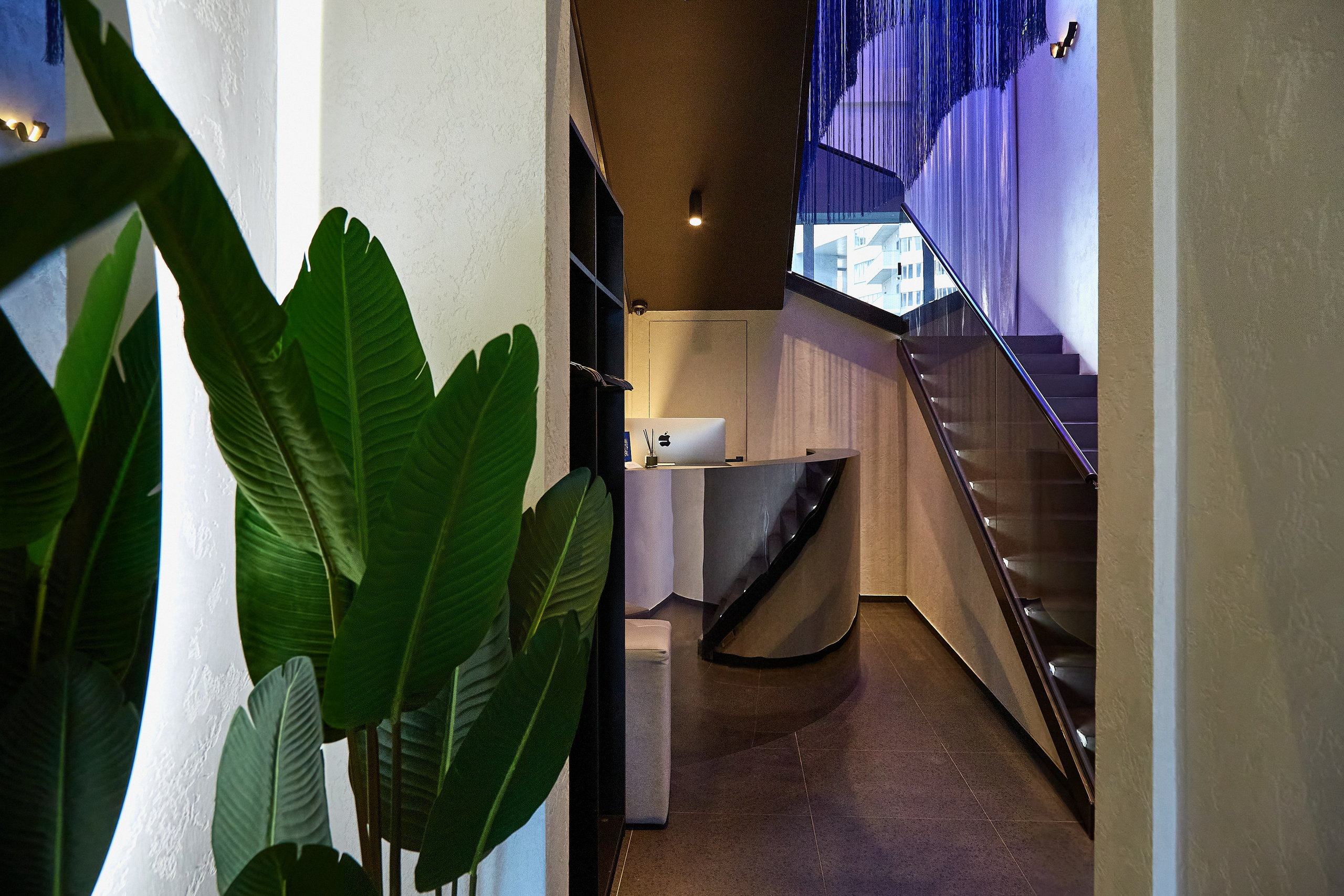 Ресторан Frime wine lounge. Фотограф Анастасия Леонтьева Санкт-Петербург