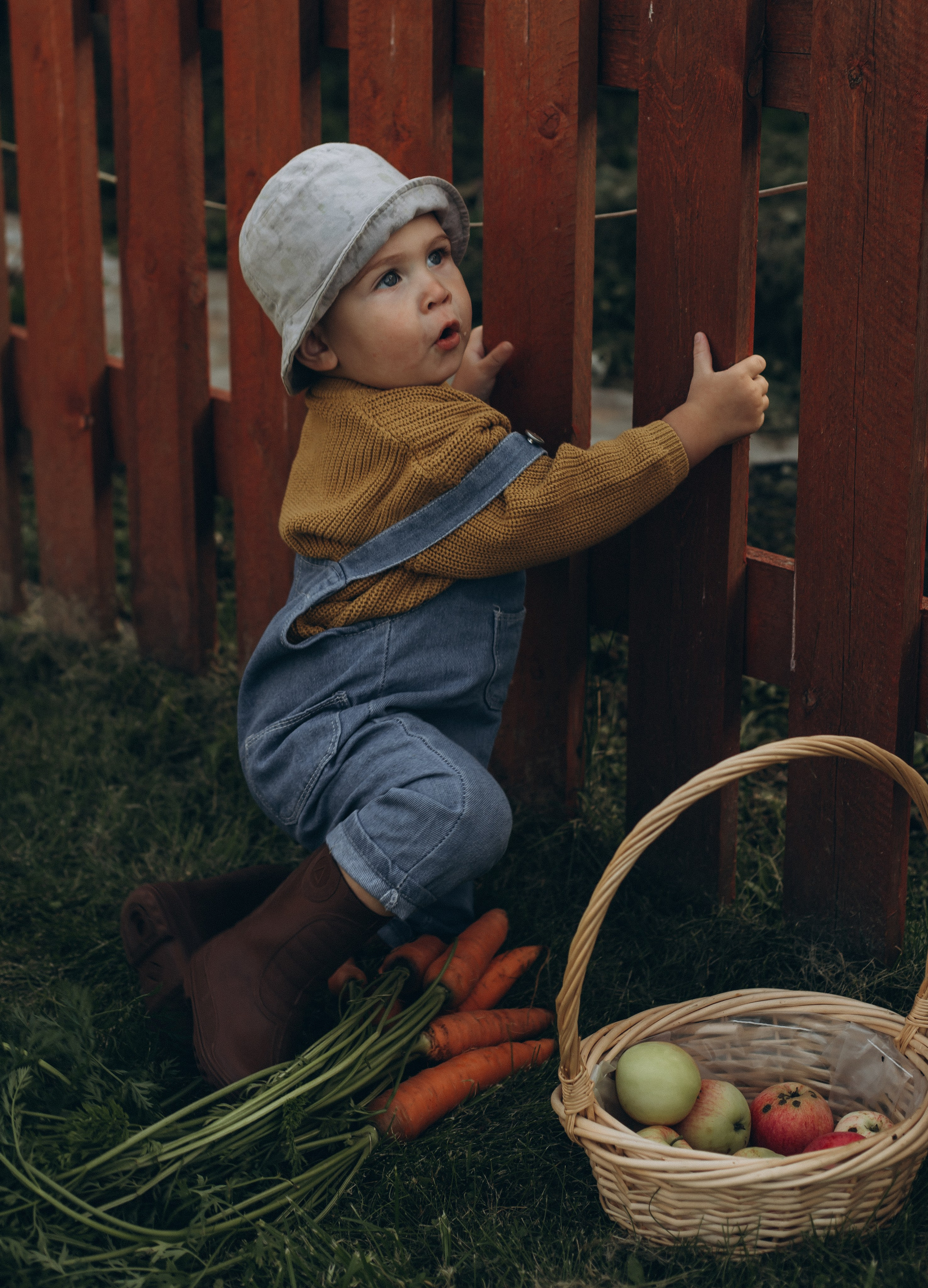 Морковная история 🥕🧡. Услуги