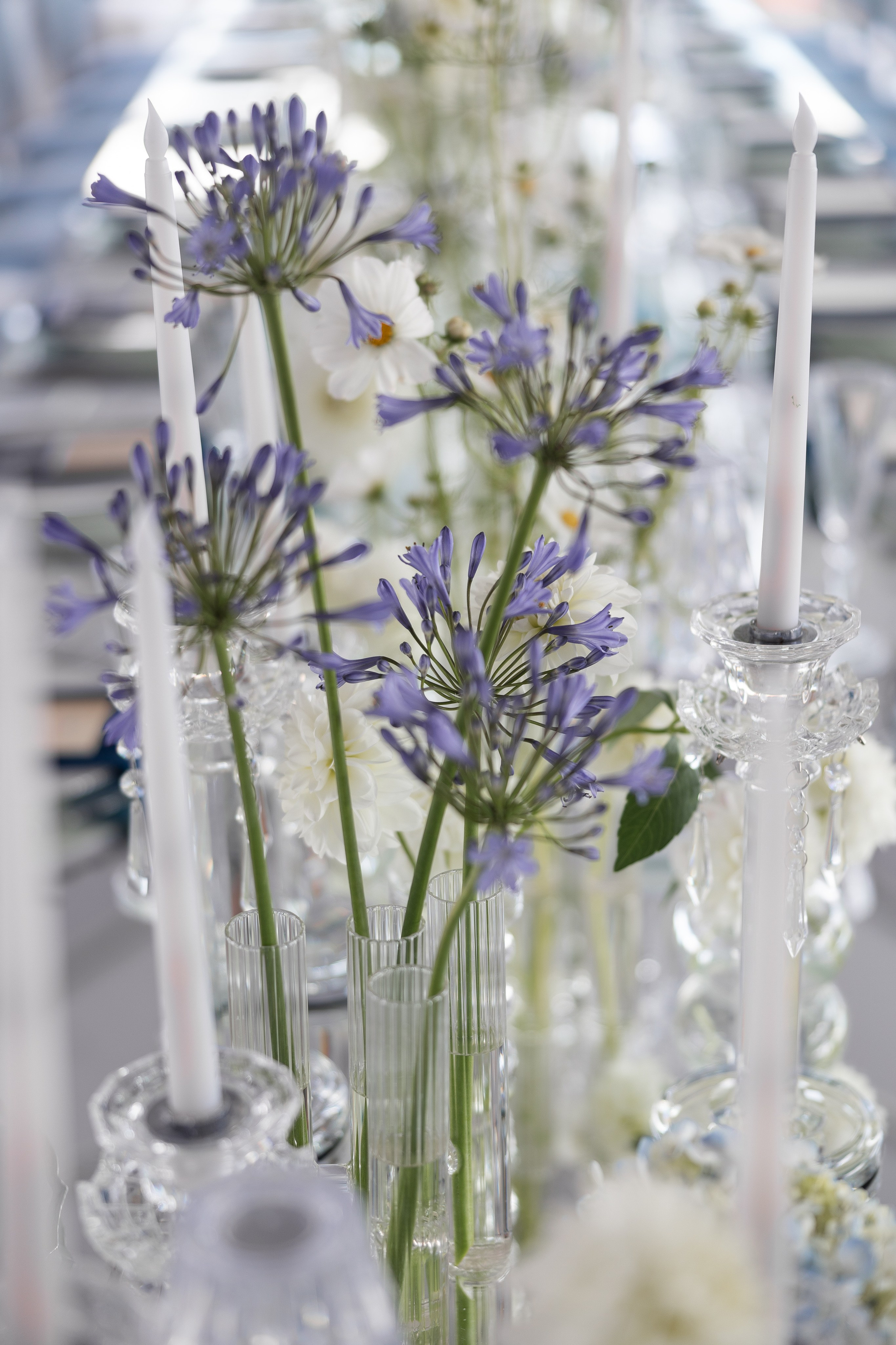 Репортаж для Kate&Leo. Свадебный и семейный фотограф Москва Екатерина Верижникова