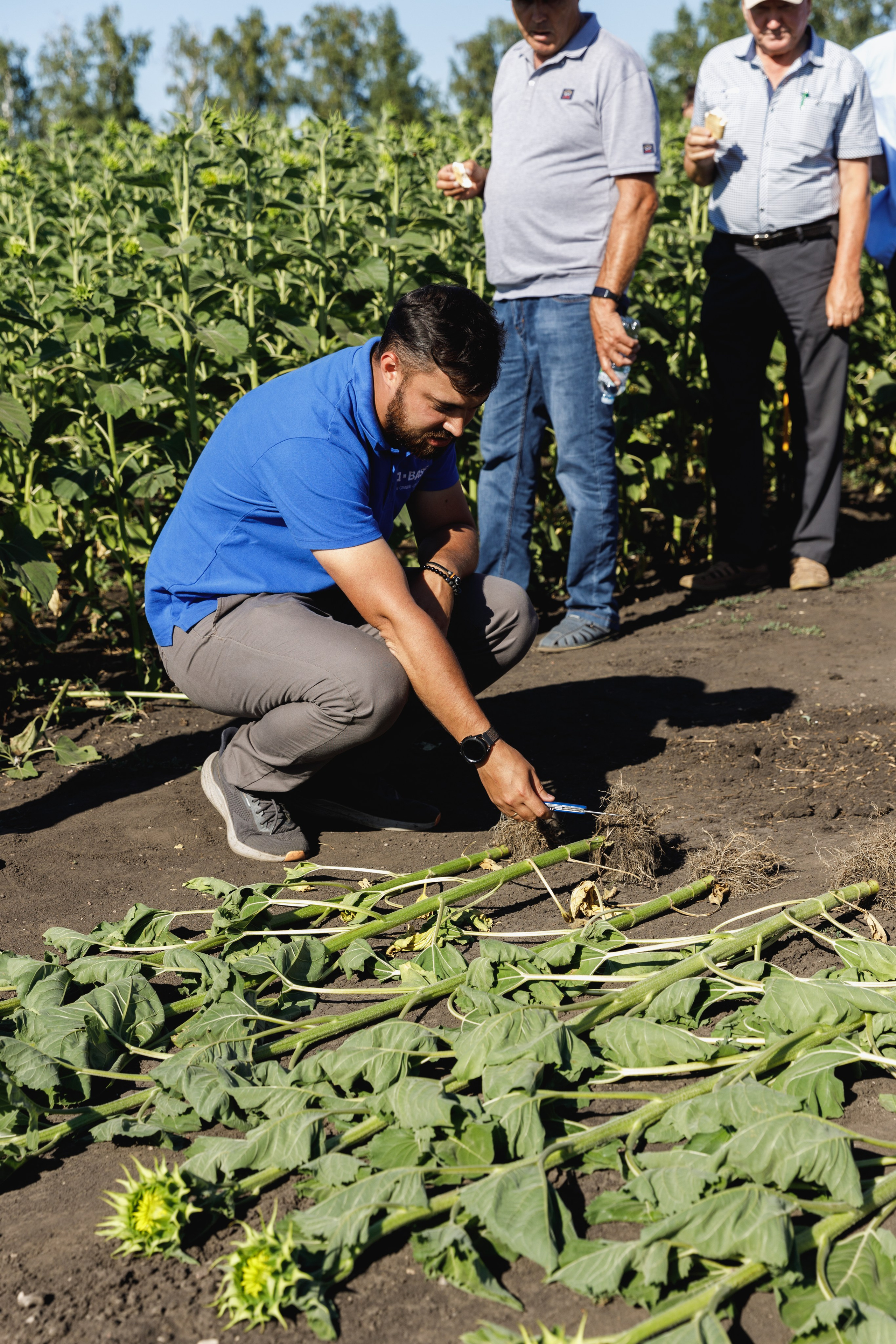 BASF. Конференция 2024. Фотограф Липецк. Фотограф в Липецке Татьяна Минаева. Портретный фотограф Липецк. Свадебный фотограф Липецк. Бизнес фотограф Липецк