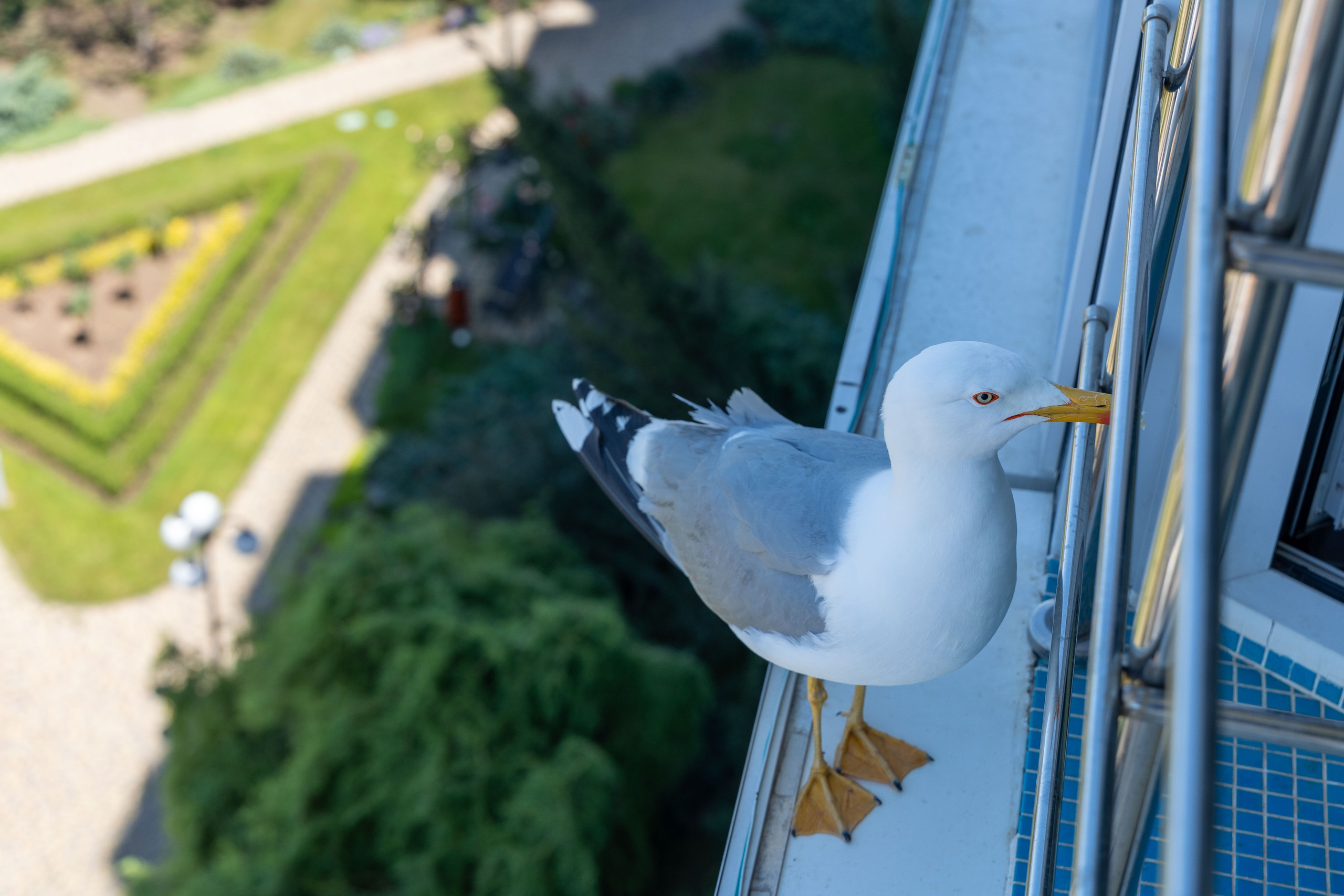 Фотограф Татьяна Марсуверских г. Жуковский, Москва и Мо. Репортажные съёмки, фотосессии,  фотограф анималист, фотосъёмка животных. Фотограф для маркетплейсов, фотоуслуги в Жуковском Татьяна Марсуверских