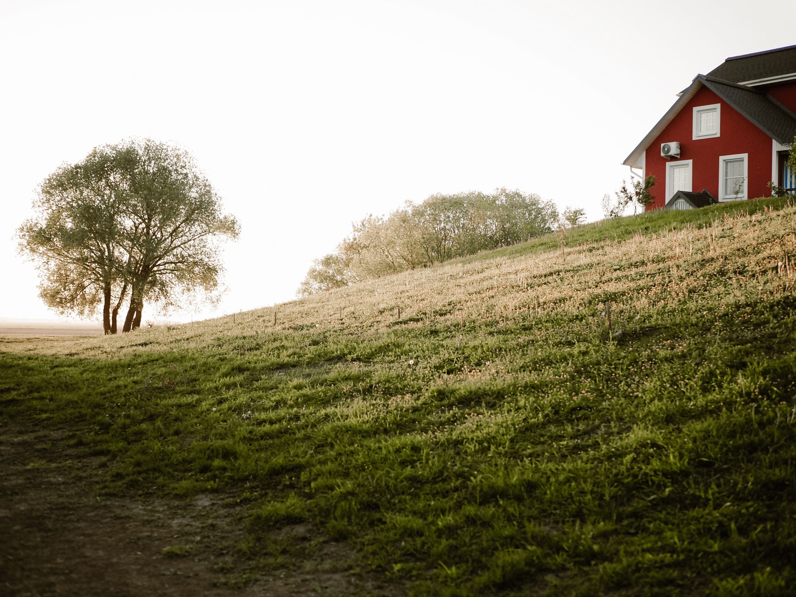Любовь и Александр. Фотограф Рязань. Семейный Свадебный фотограф