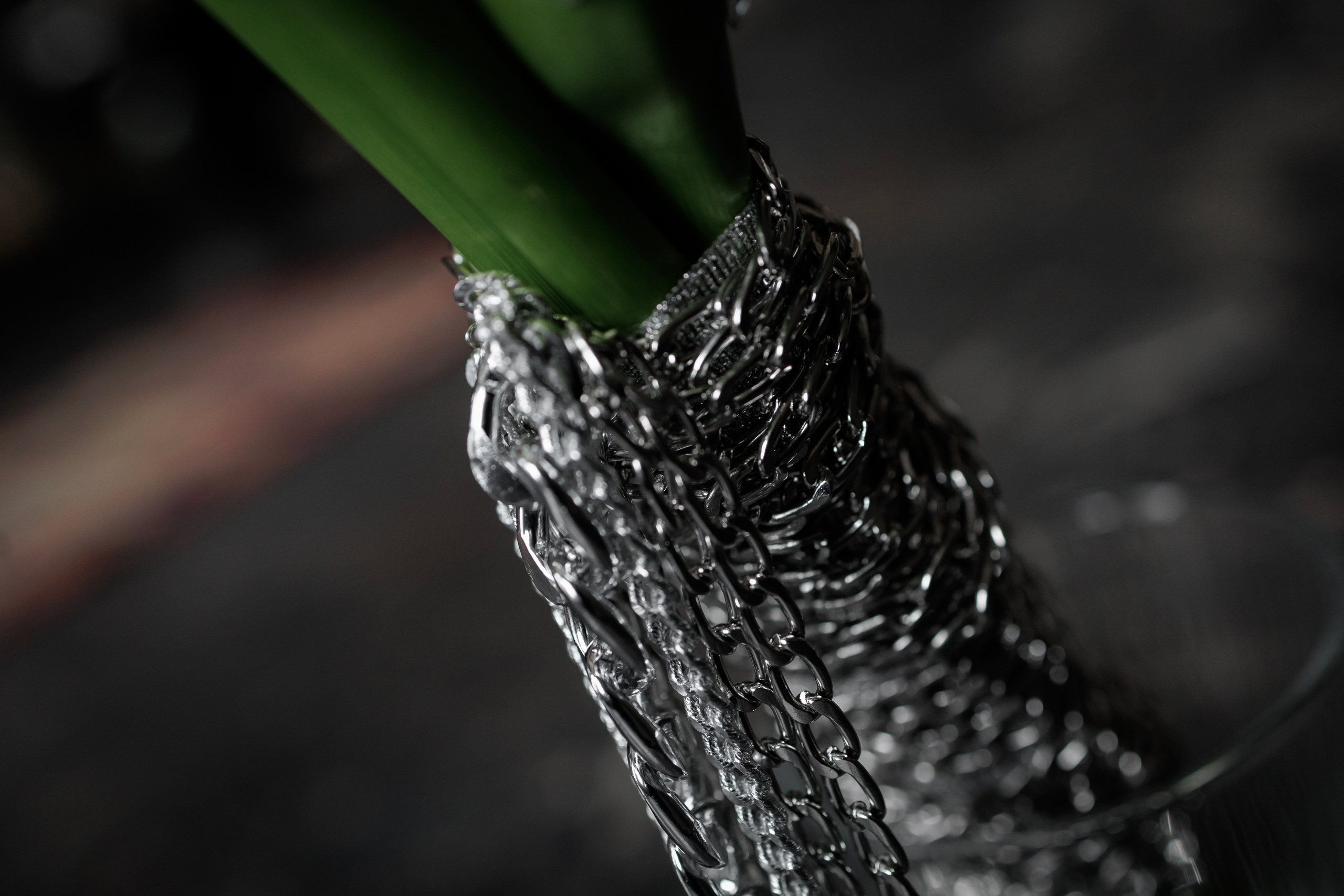 Мега и Ян. Свадебный, репортажный фотограф в Тюмени Сергей Тапилин