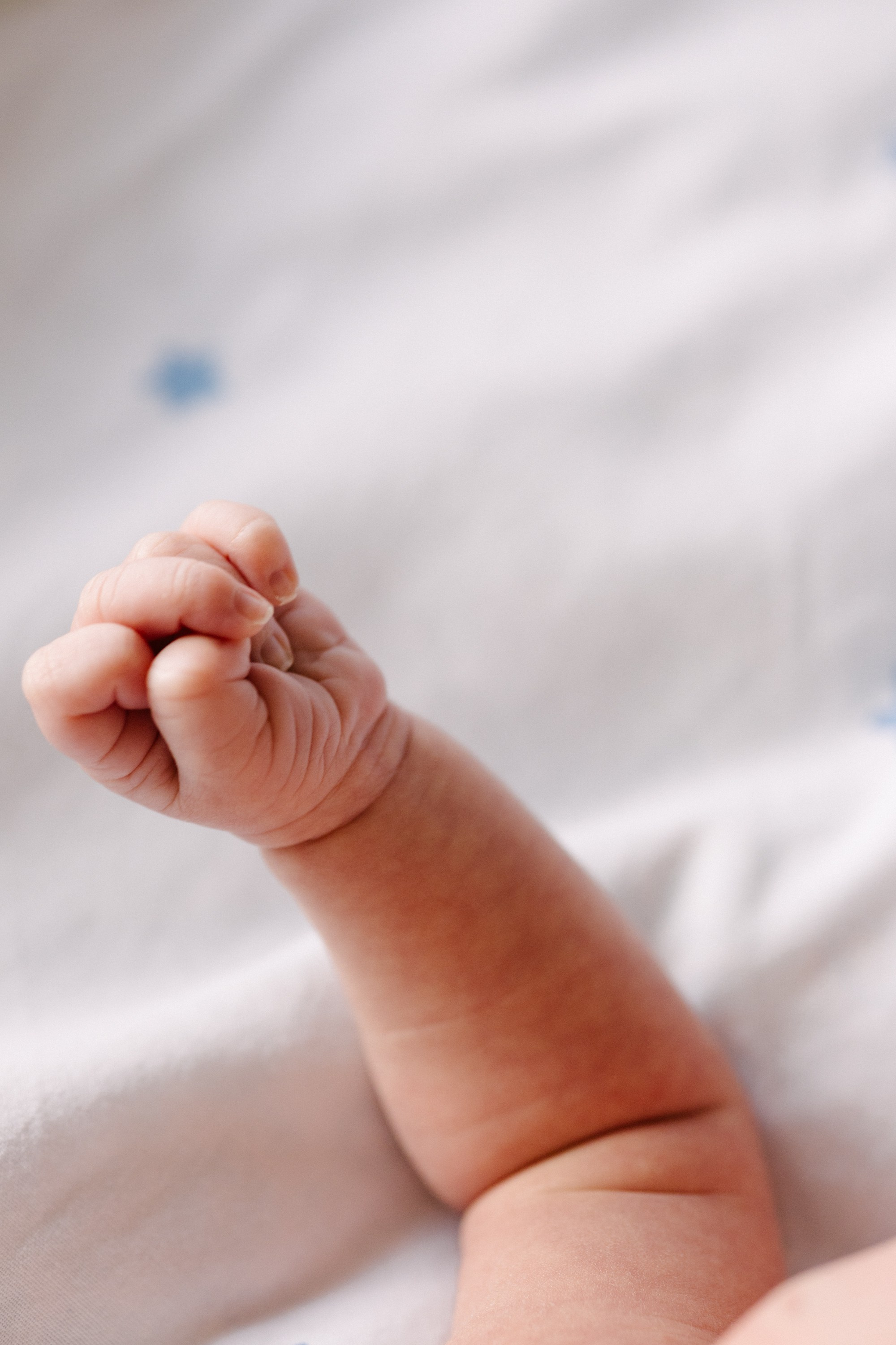 Алеся и семья. Свадебный и семейный фотограф в Смоленске Галина Егорова