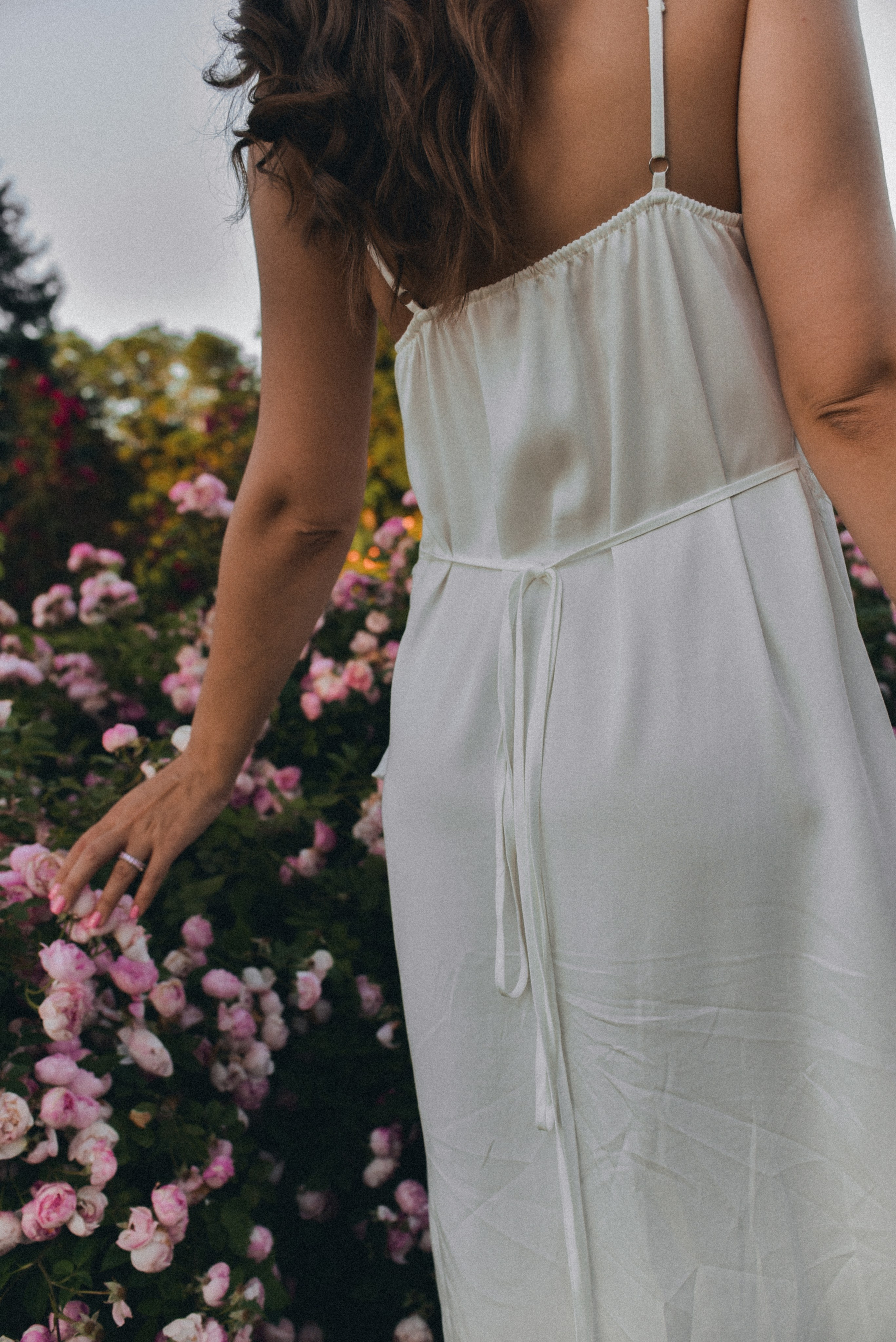 Розовая роща. Семейный фотограф Milena feel it