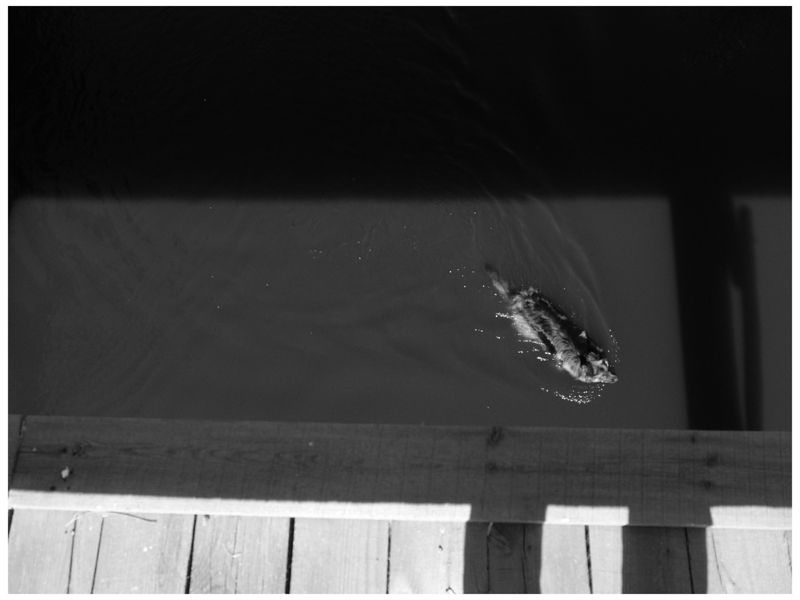 Промежуточные моменты (2022)