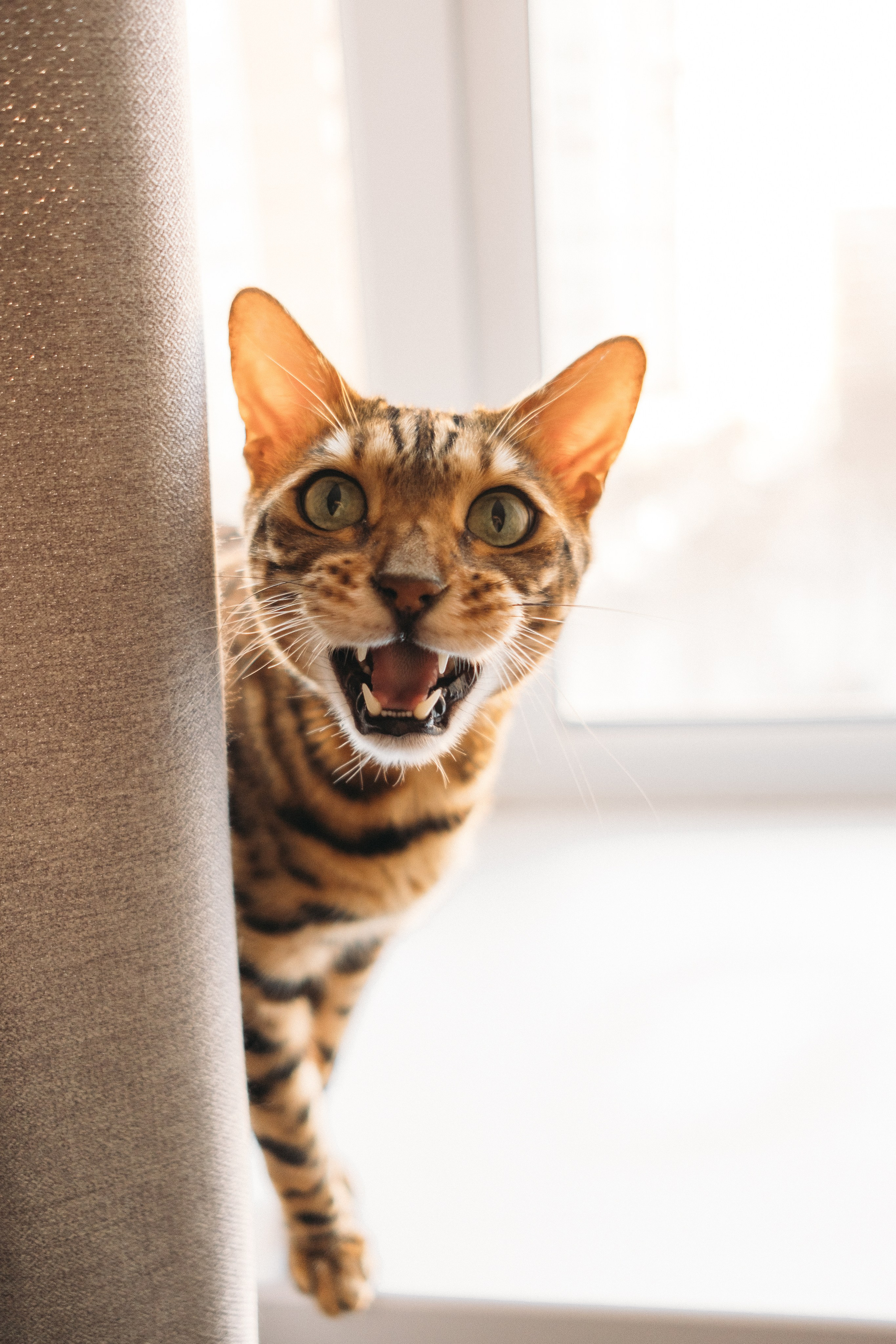 Провожая старый новый год. Фотограф в Москве (готова приехать к вам в город)