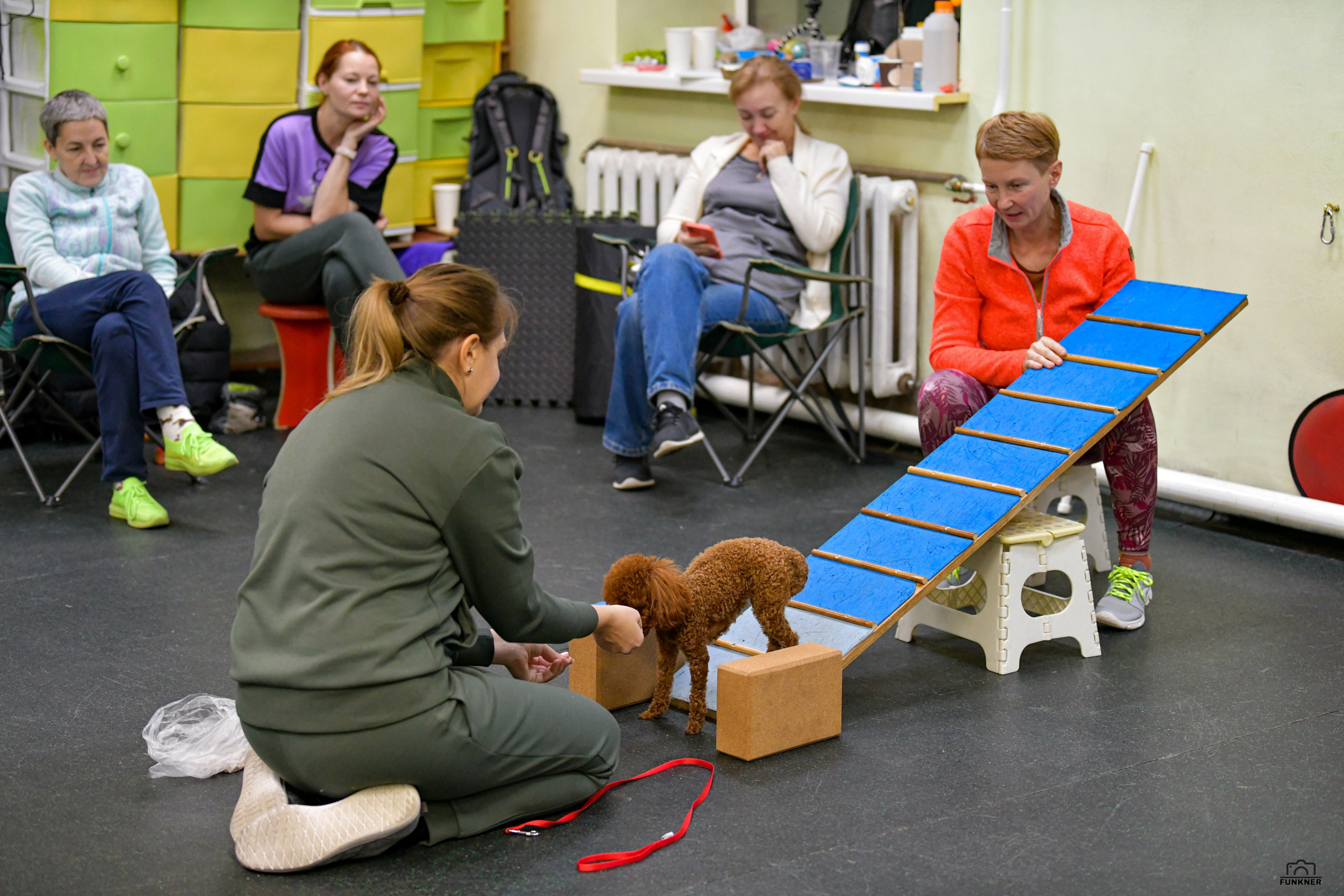 Кинологический клуб «Бодрый хвост». Свой взгляд через объектив