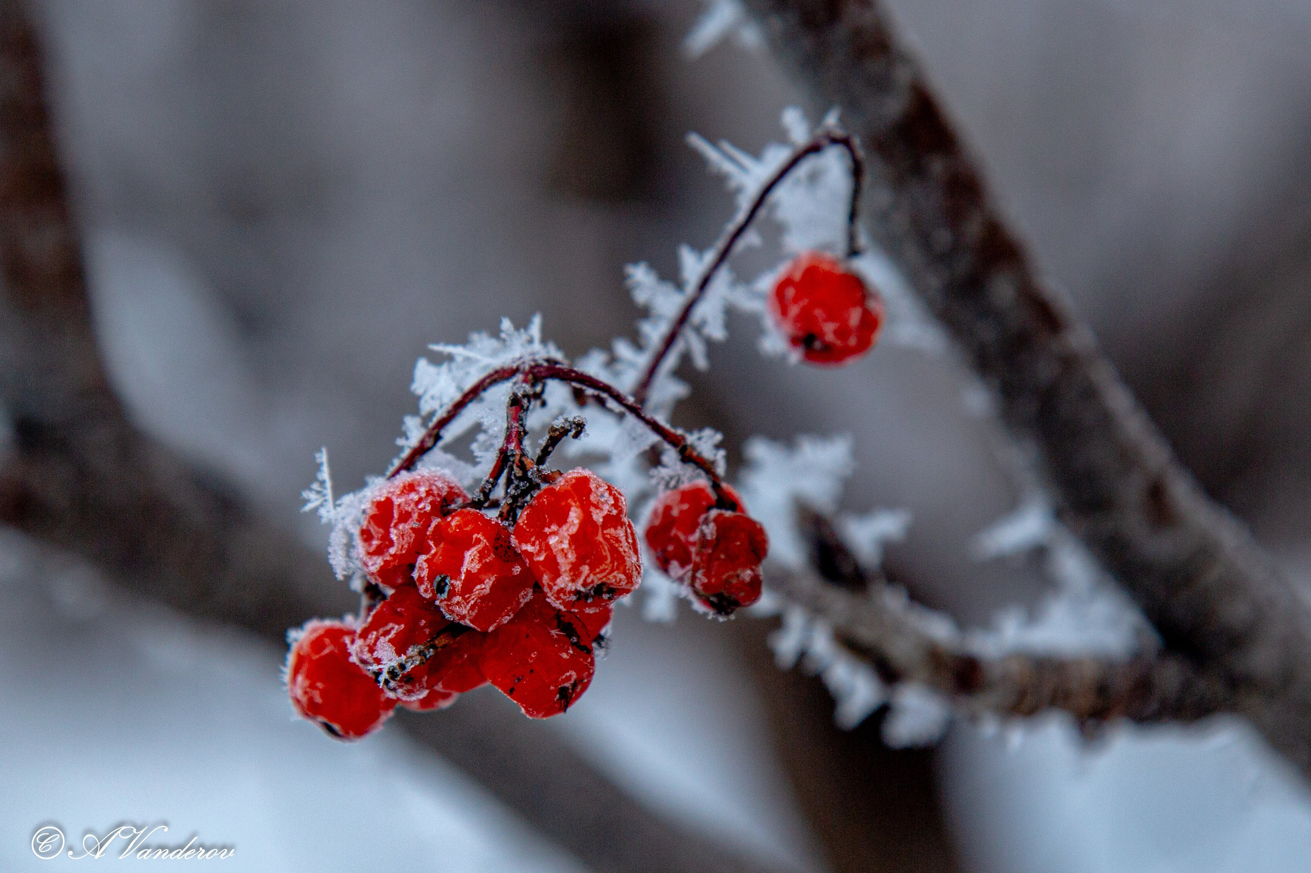 Красота природы. Фотограф Омск | Александр Вандеров