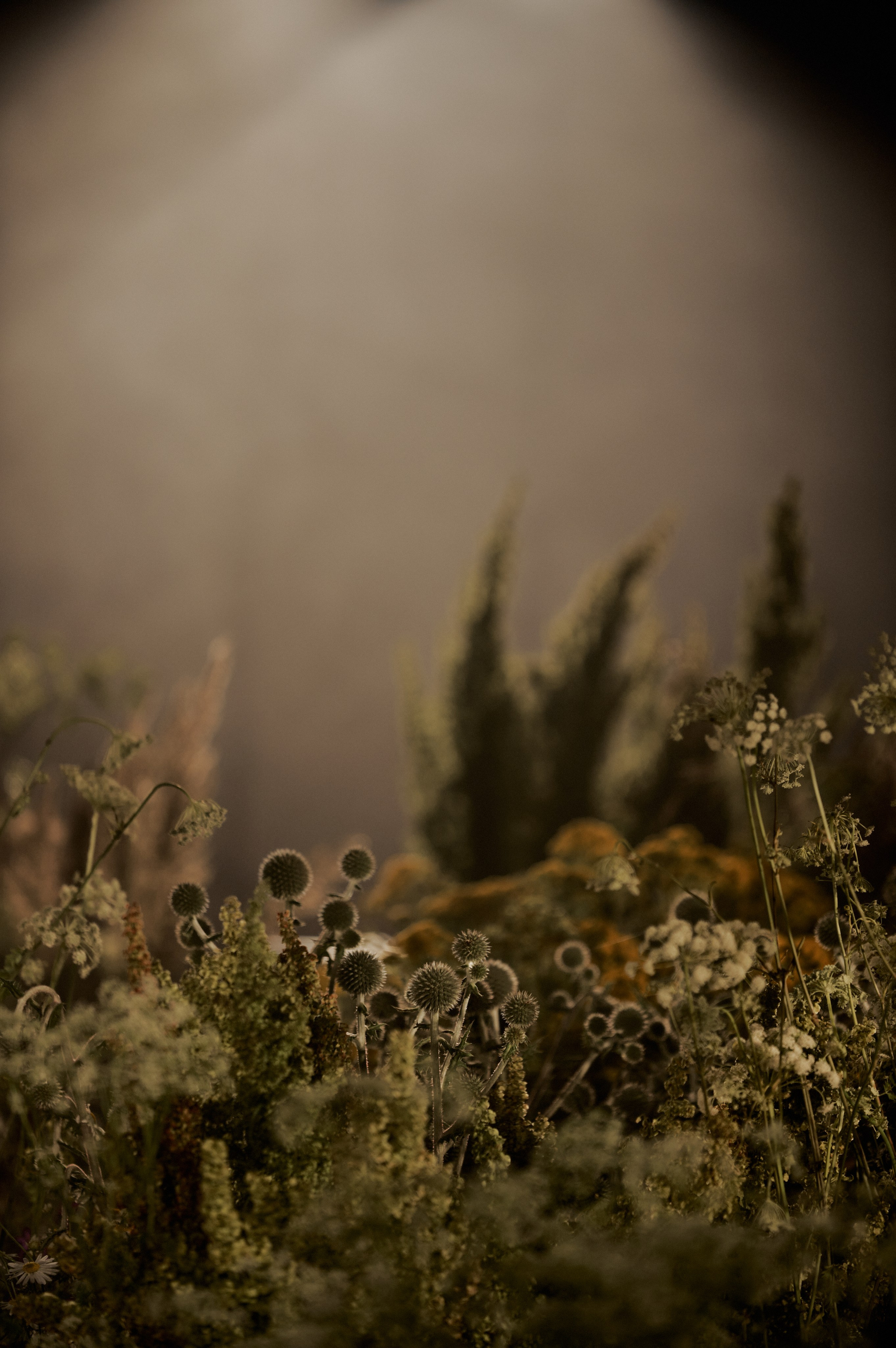 НЕСВОЕВРЕМЕННЫЕ МЫСЛИ. Коммерческий фотограф в Казани Ксения Добролюбова