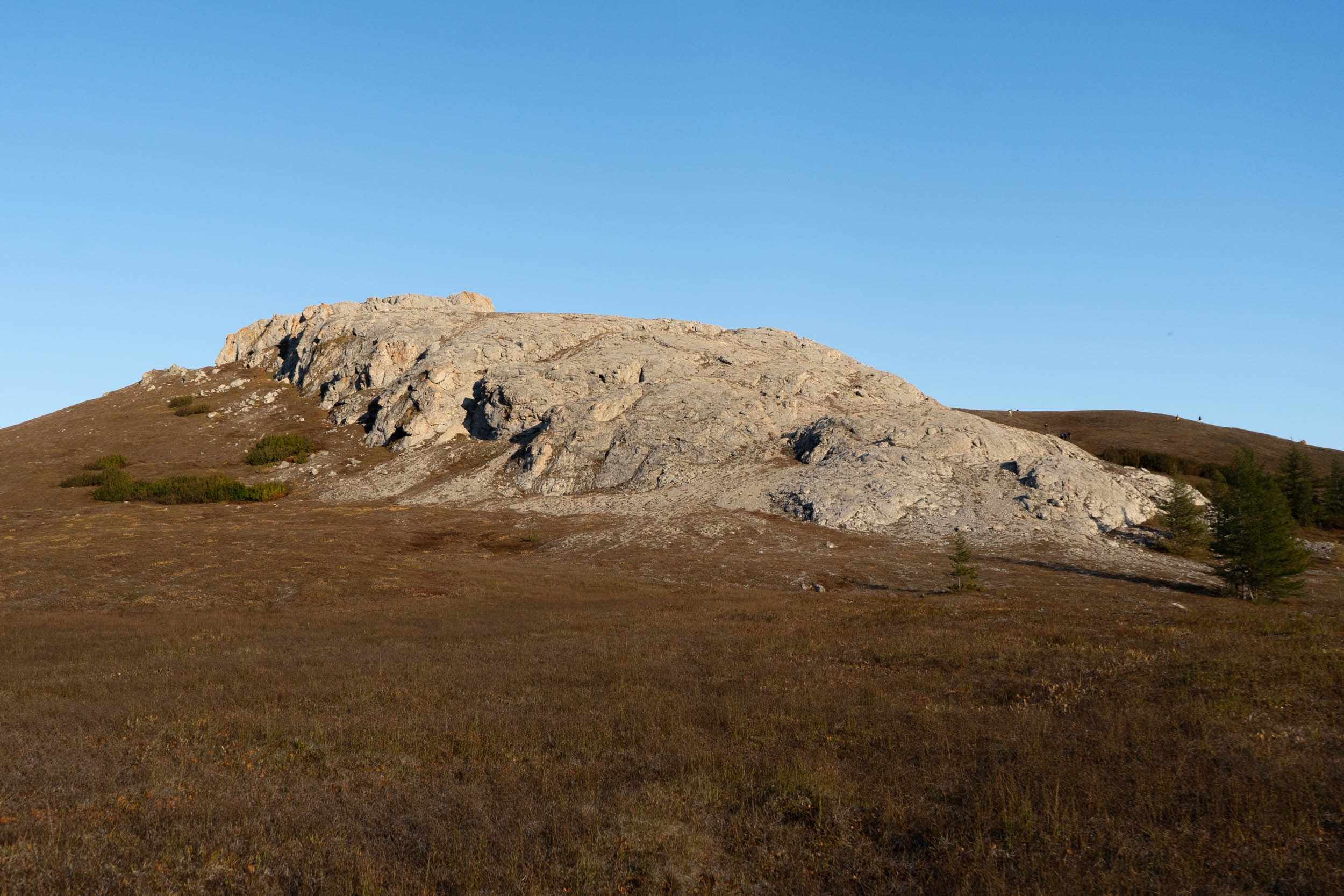 Рифы девонского моря. Фотограф Екатерина Зорина