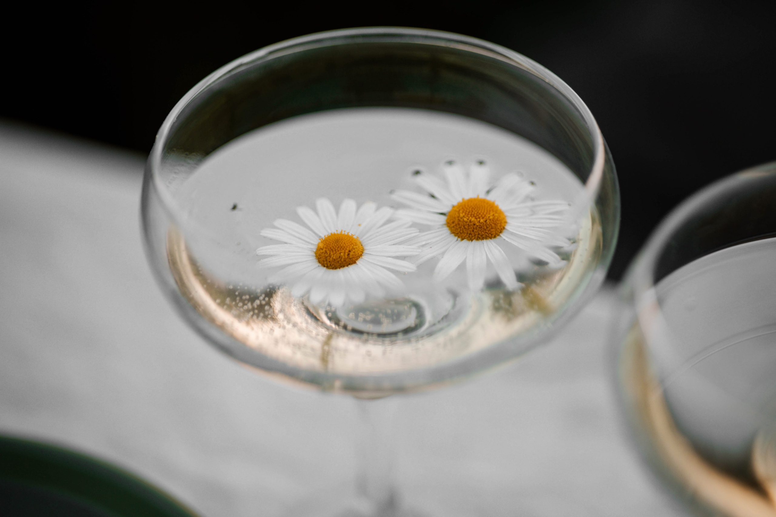 Оля и Виктор. Главная